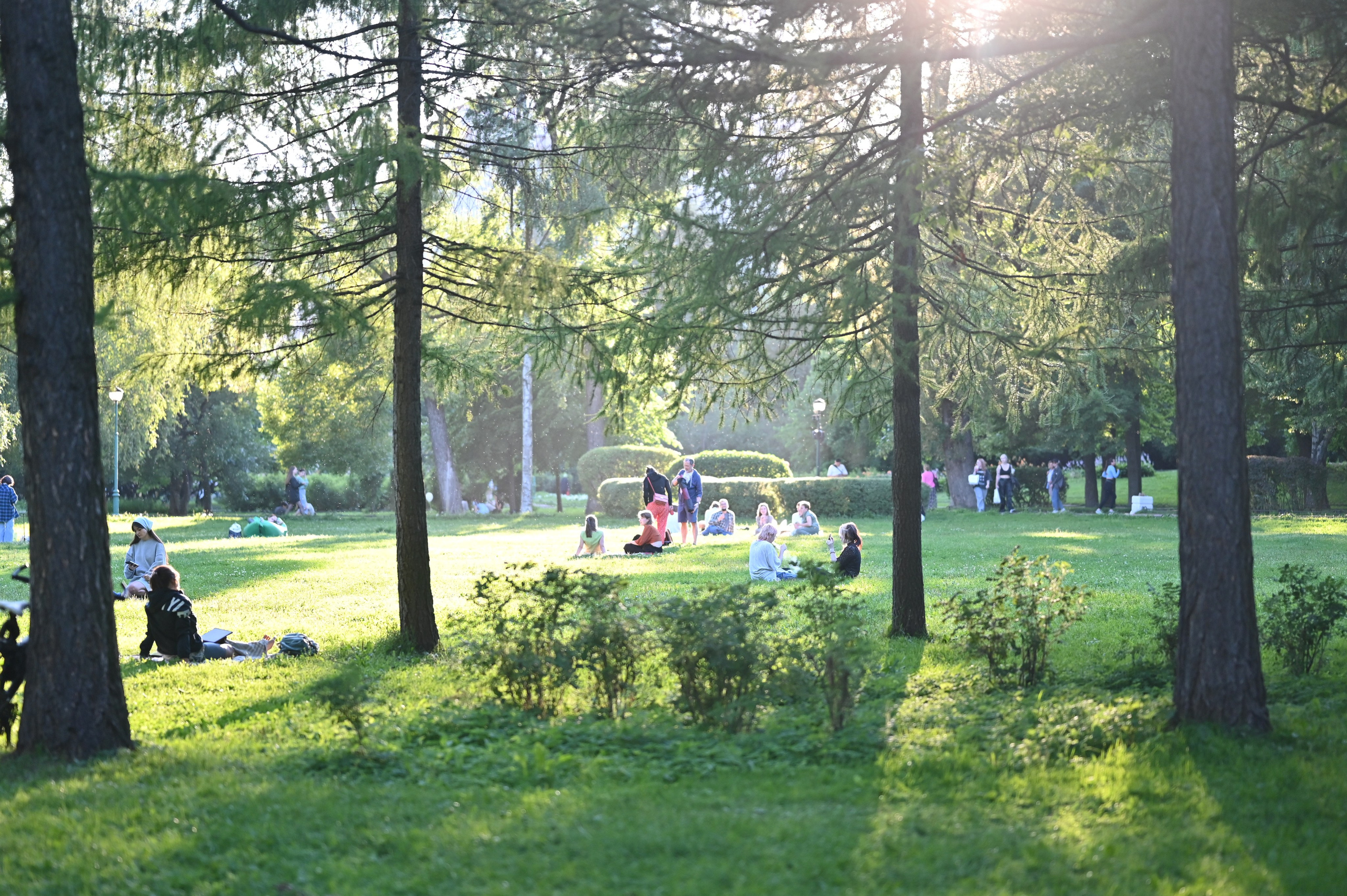 Пикник в Таврическом саду. ZDARONOKIA Репортажный фотограф