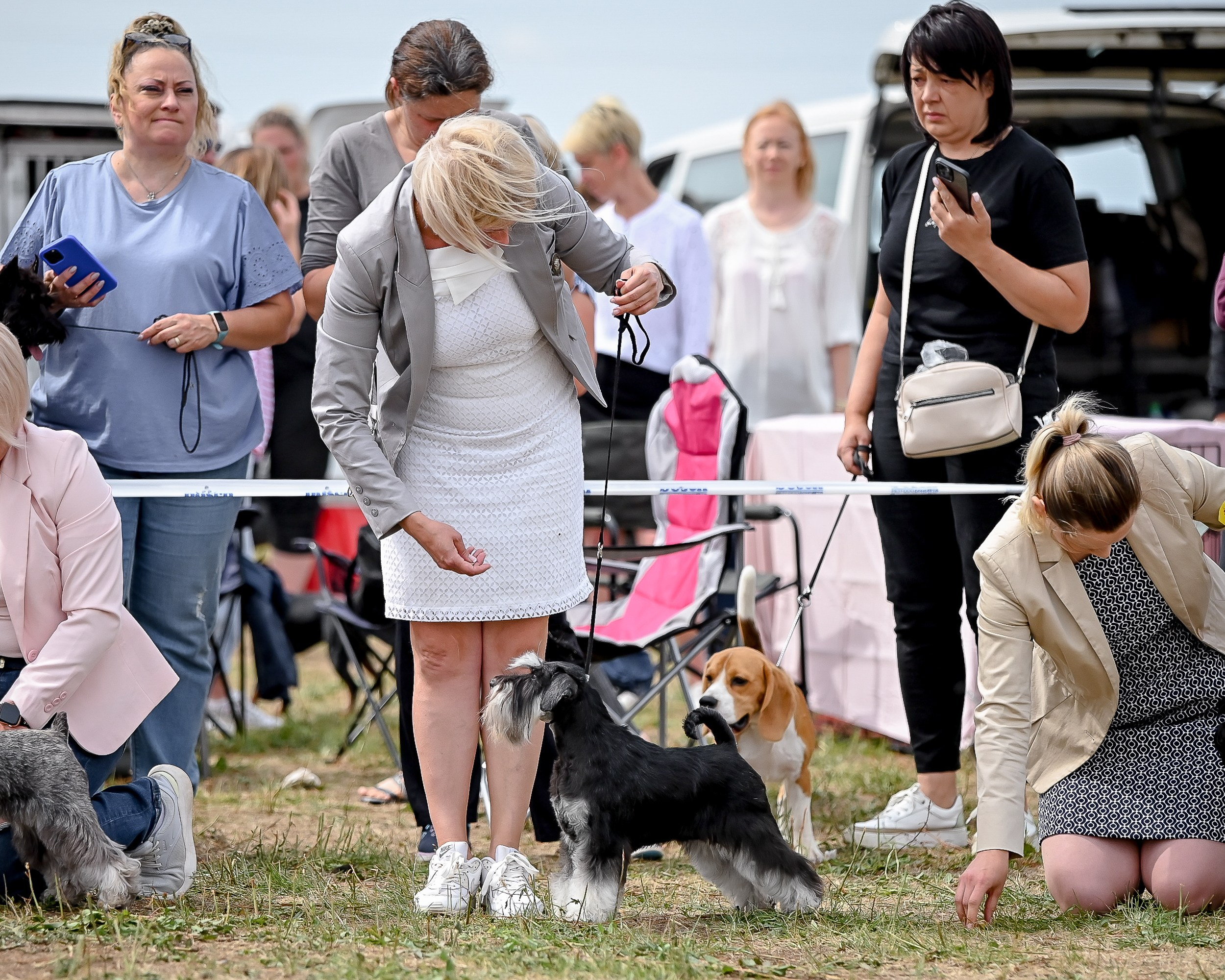 Питомник Делинсо Бэлэнс, щенки цвергшнауцера, купить щенка цвергшнауцера, питомник цвергшнауцеров, кобель цвергшнауцера для вязки, щенок цвергшнауцера, питомник цвергшнауцеров, черный с серебром, цверг, лучший питомник в беларуси