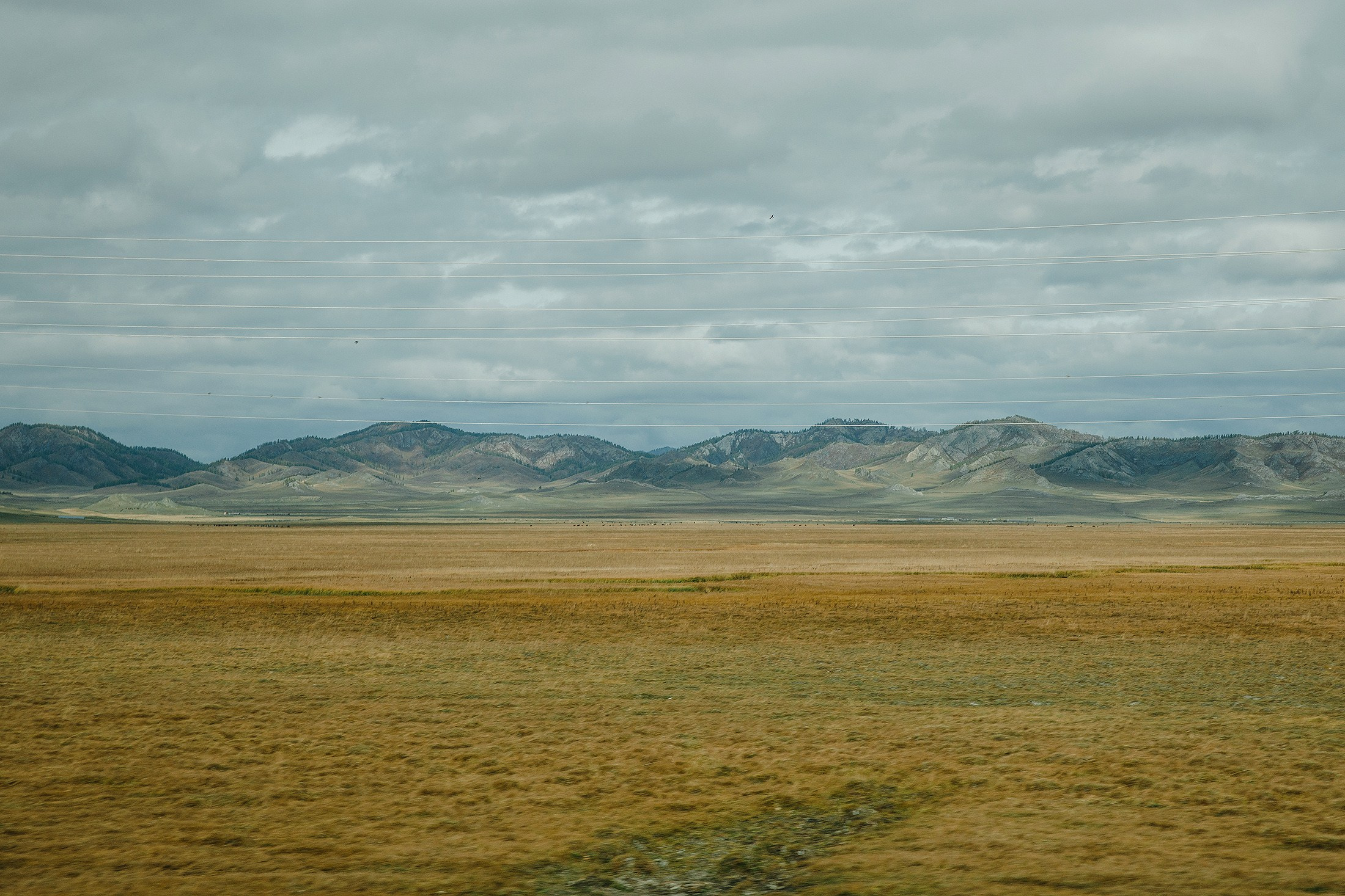 Женя и Яна. Свадебный фотограф в Москве и МО Александр Ласковенков