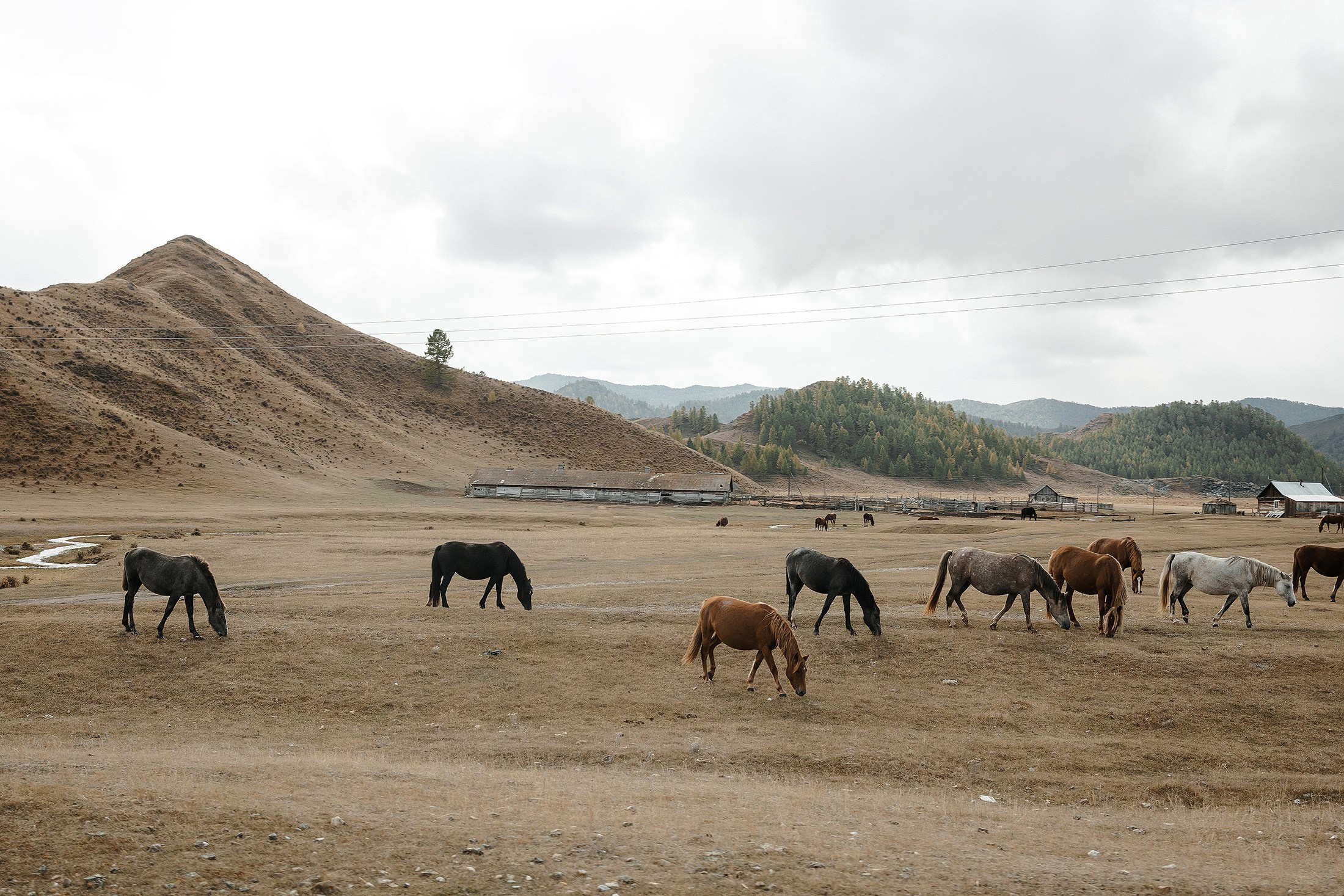 Женя и Яна. Свадебный фотограф в Москве и МО Александр Ласковенков