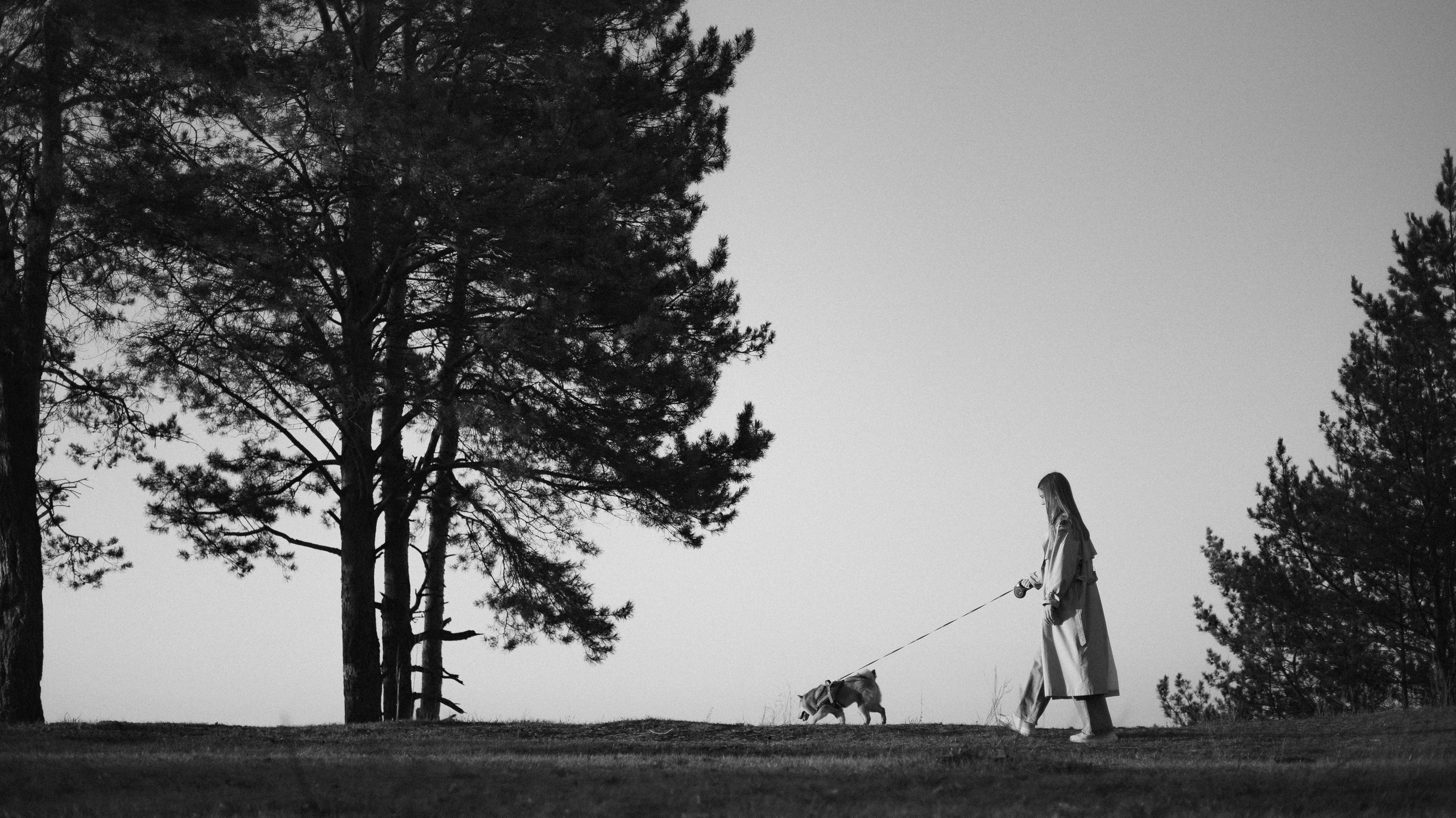 Аня и Шани. Фотограф-анималист Богданова Полина