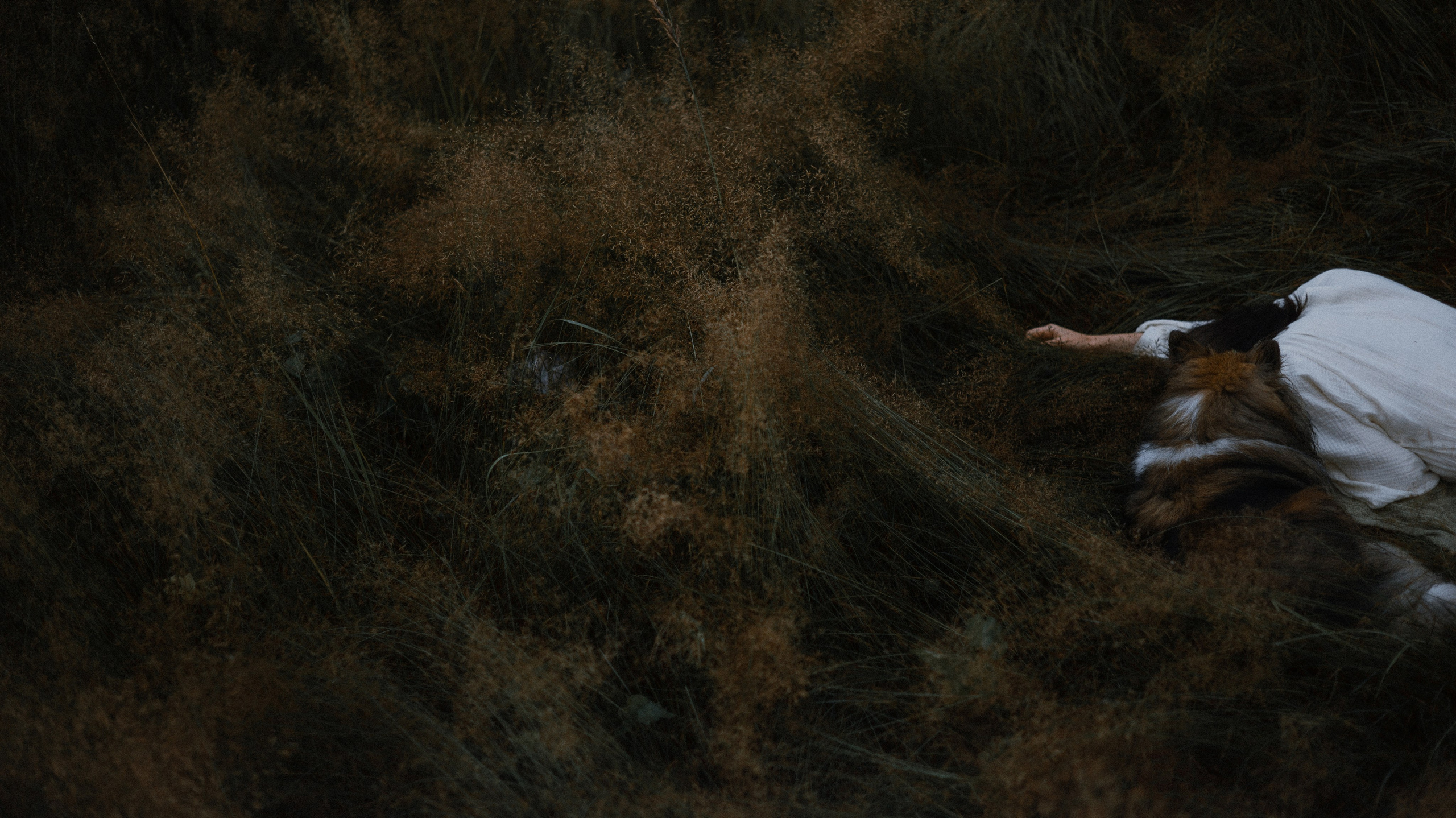 Аня и Скай. Фотограф-анималист Богданова Полина