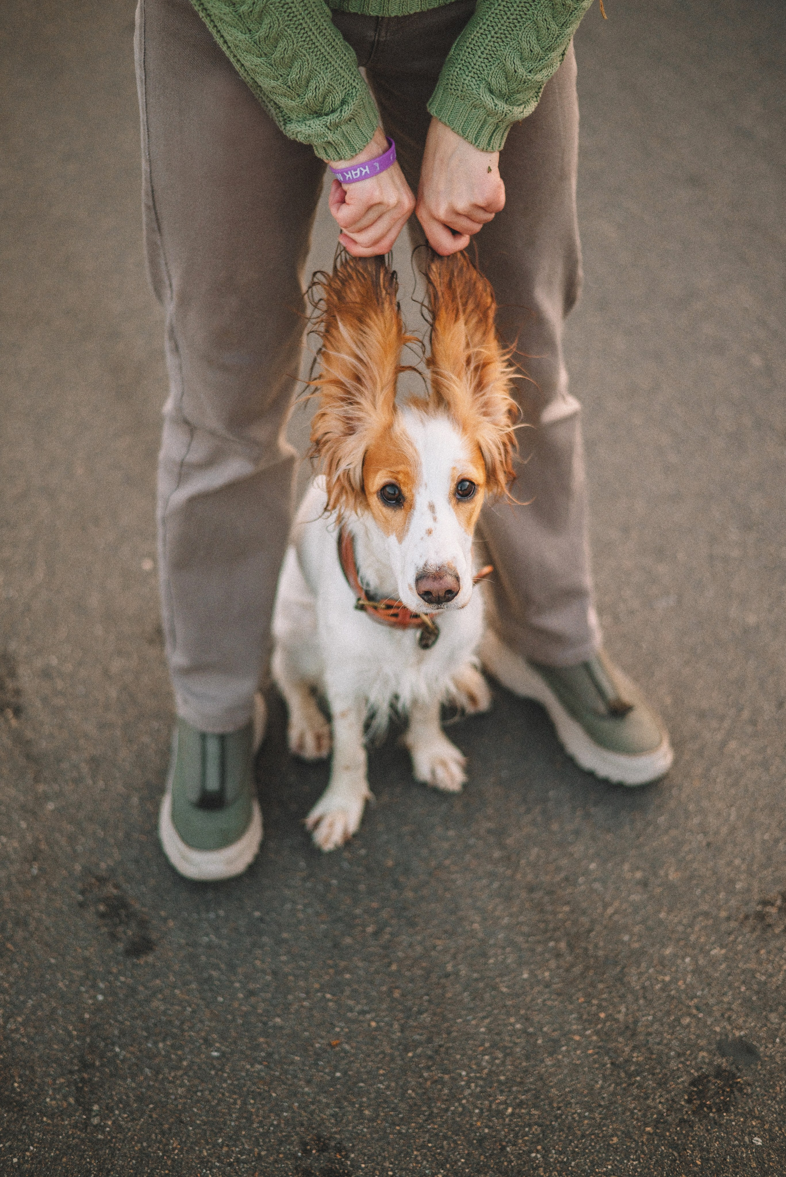 Маша и Вега. Фотограф-анималист Богданова Полина