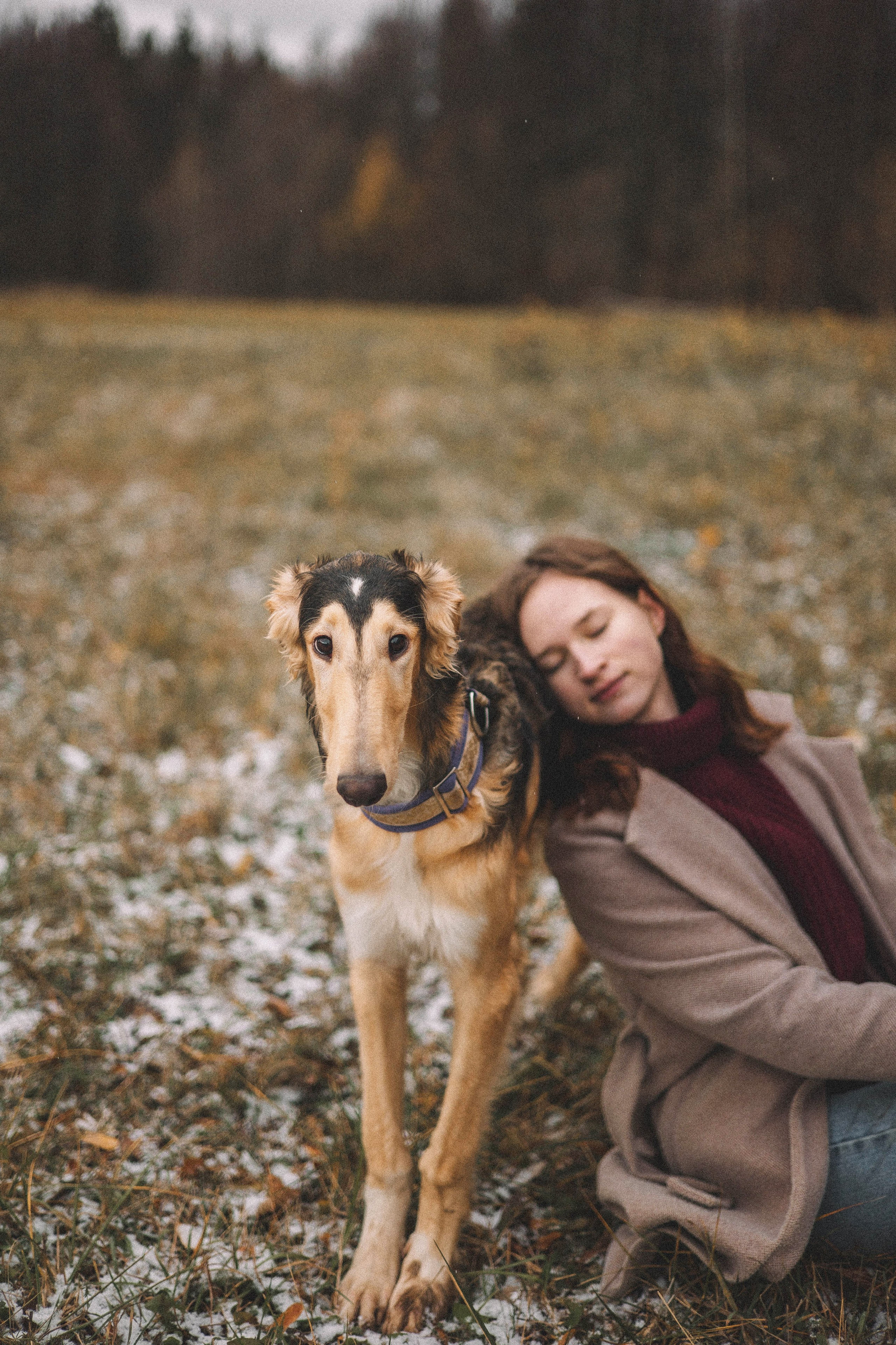 Алена, Леви и Микаса. Фотограф-анималист Богданова Полина