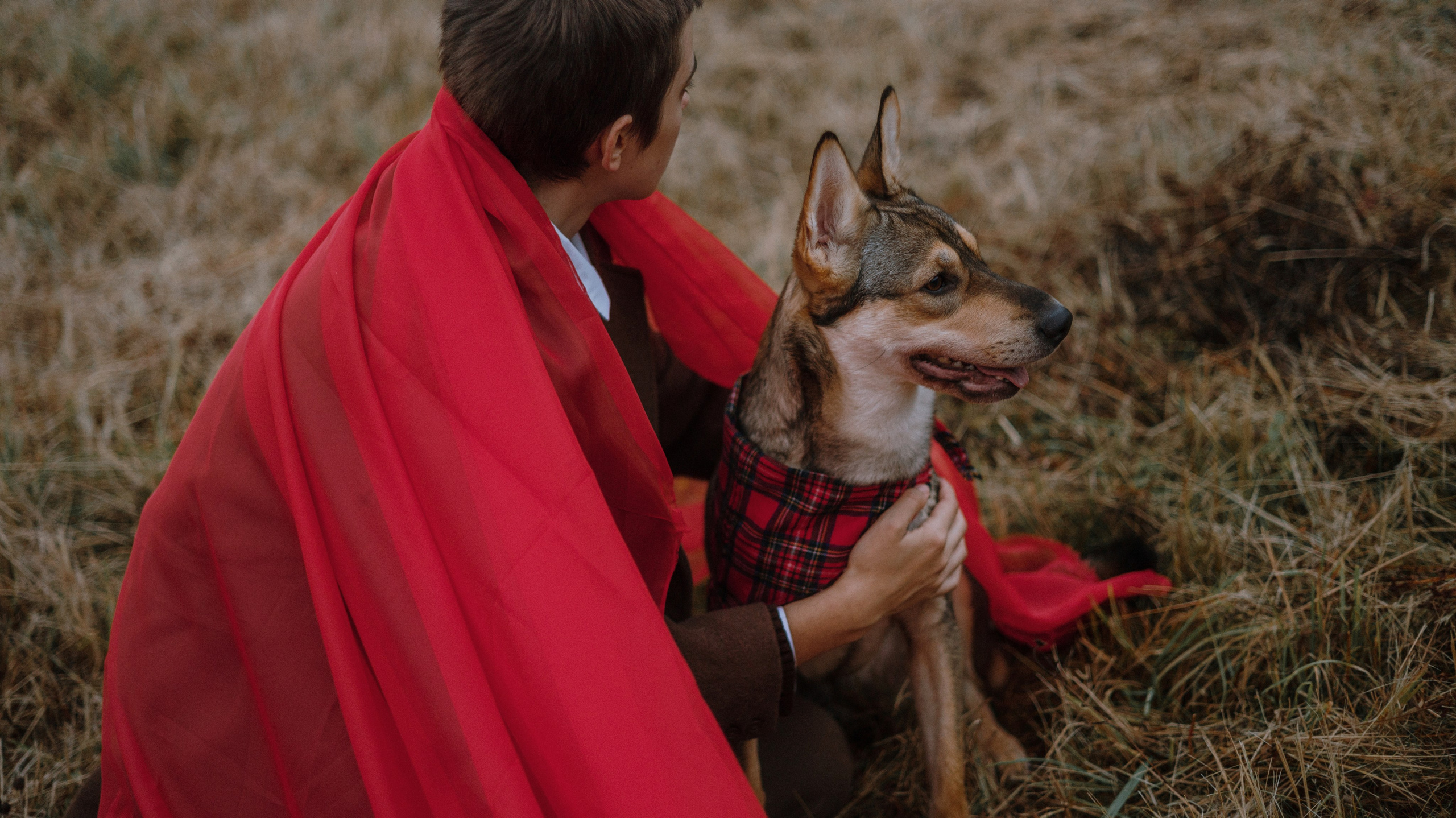 Маша, Катя, Астрид и Мася. Фотограф-анималист Богданова Полина