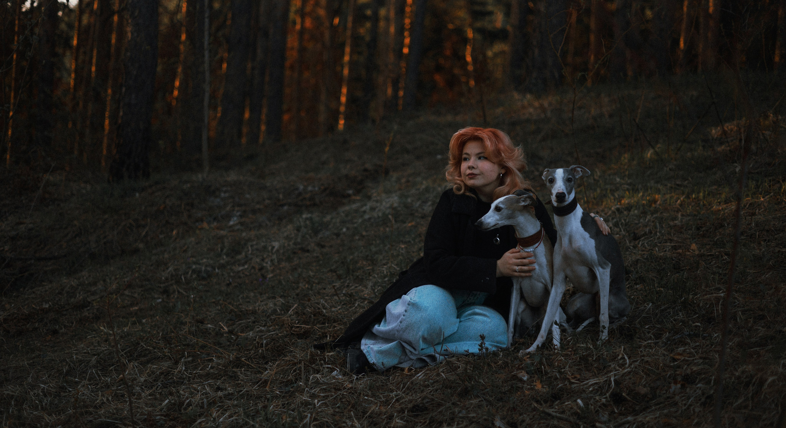 Вика, Джем и Белла. Фотограф-анималист Богданова Полина