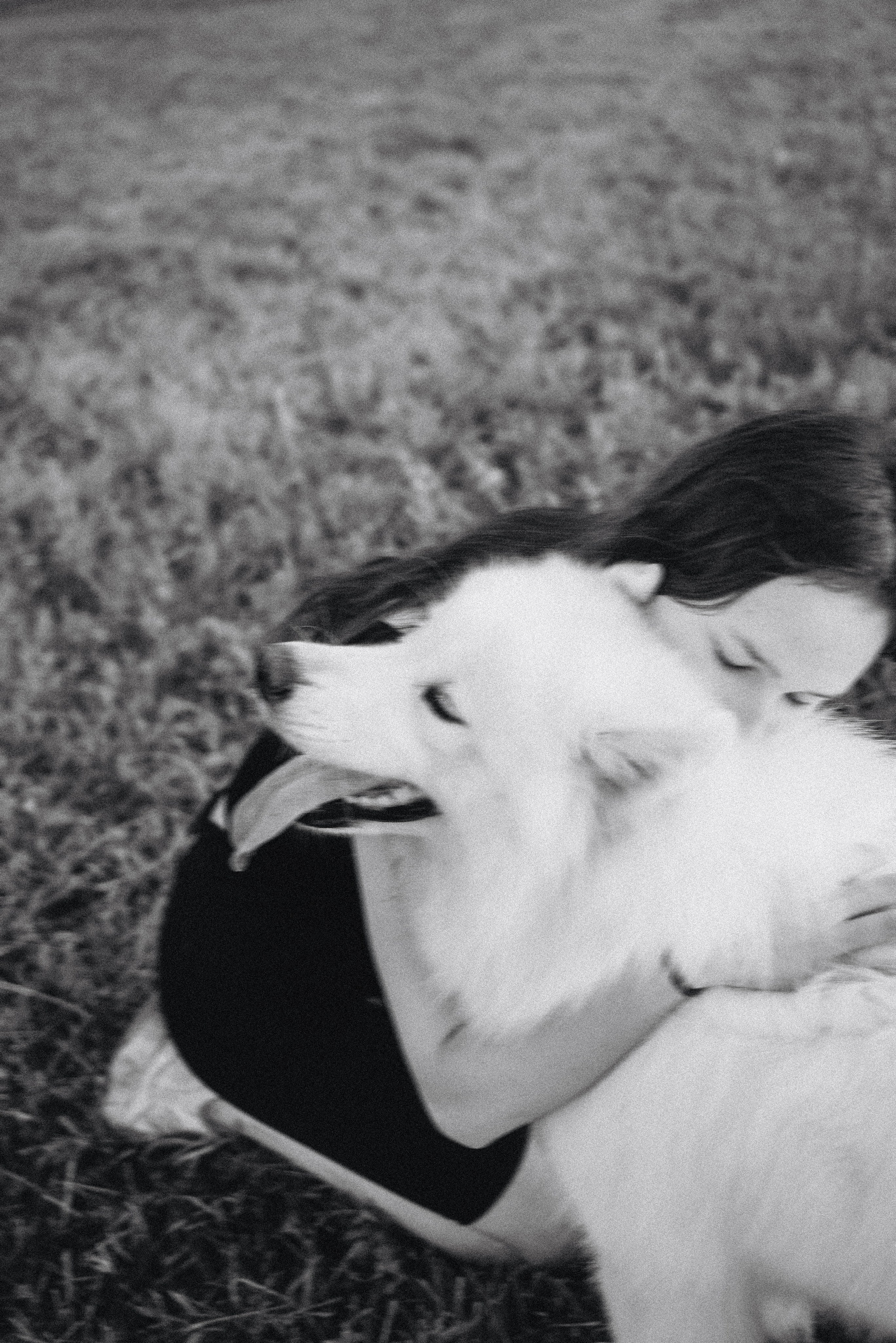 Алёна и Челси. Фотограф-анималист Богданова Полина