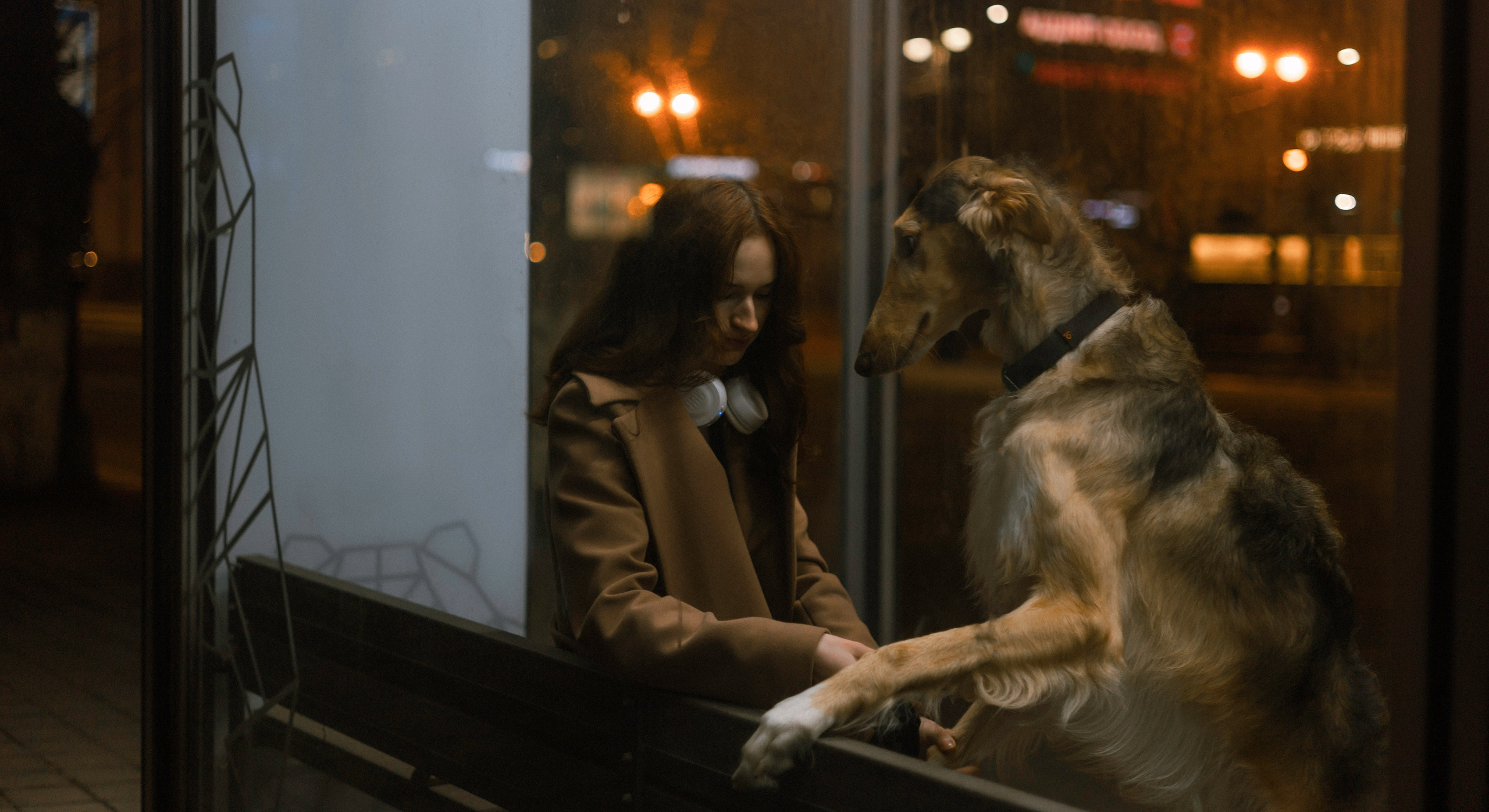 Алёна и Леви. Фотограф-анималист Богданова Полина
