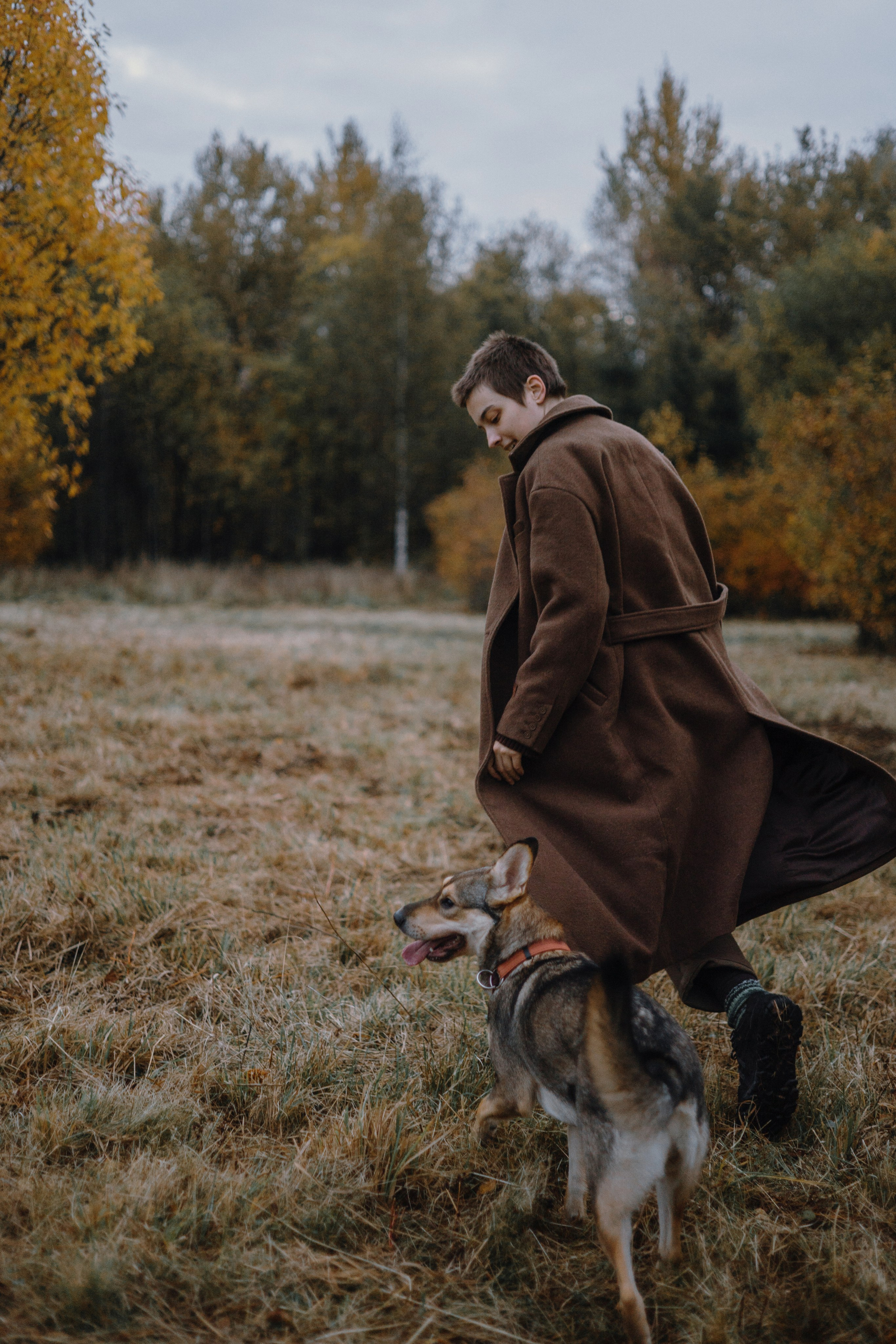 Маша, Катя, Астрид и Мася. Фотограф-анималист Богданова Полина