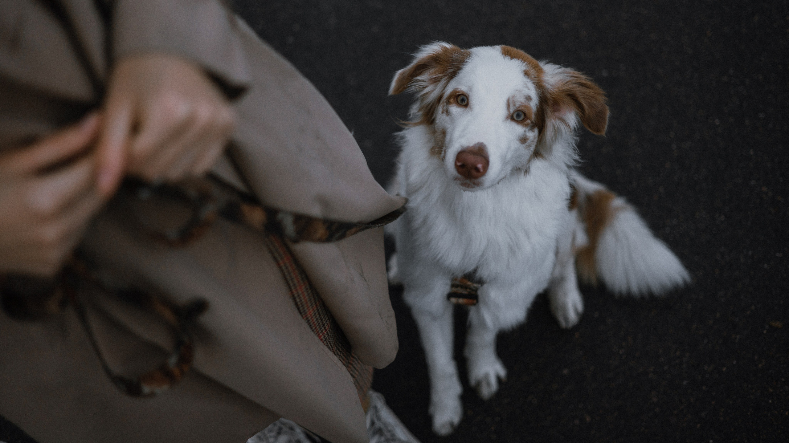 Светлана и Оливия. Фотограф-анималист Богданова Полина