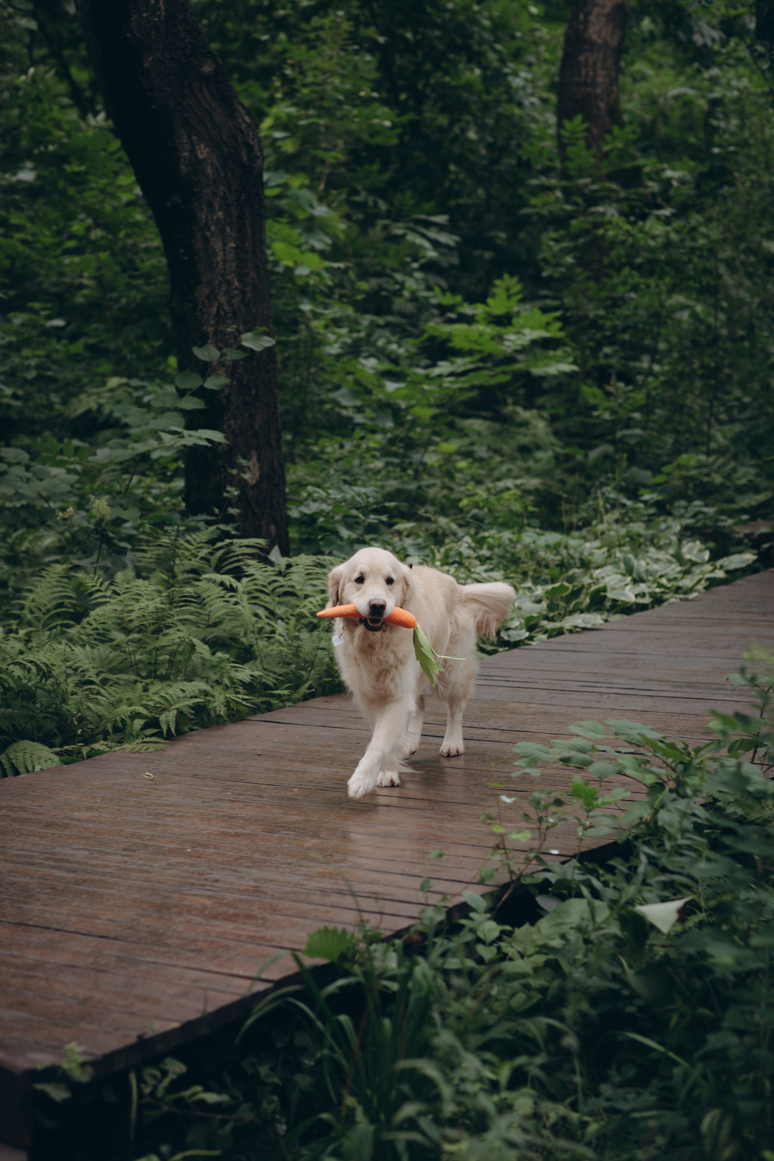Эльяр и Валерия. Фотограф Ксюша Белоносова