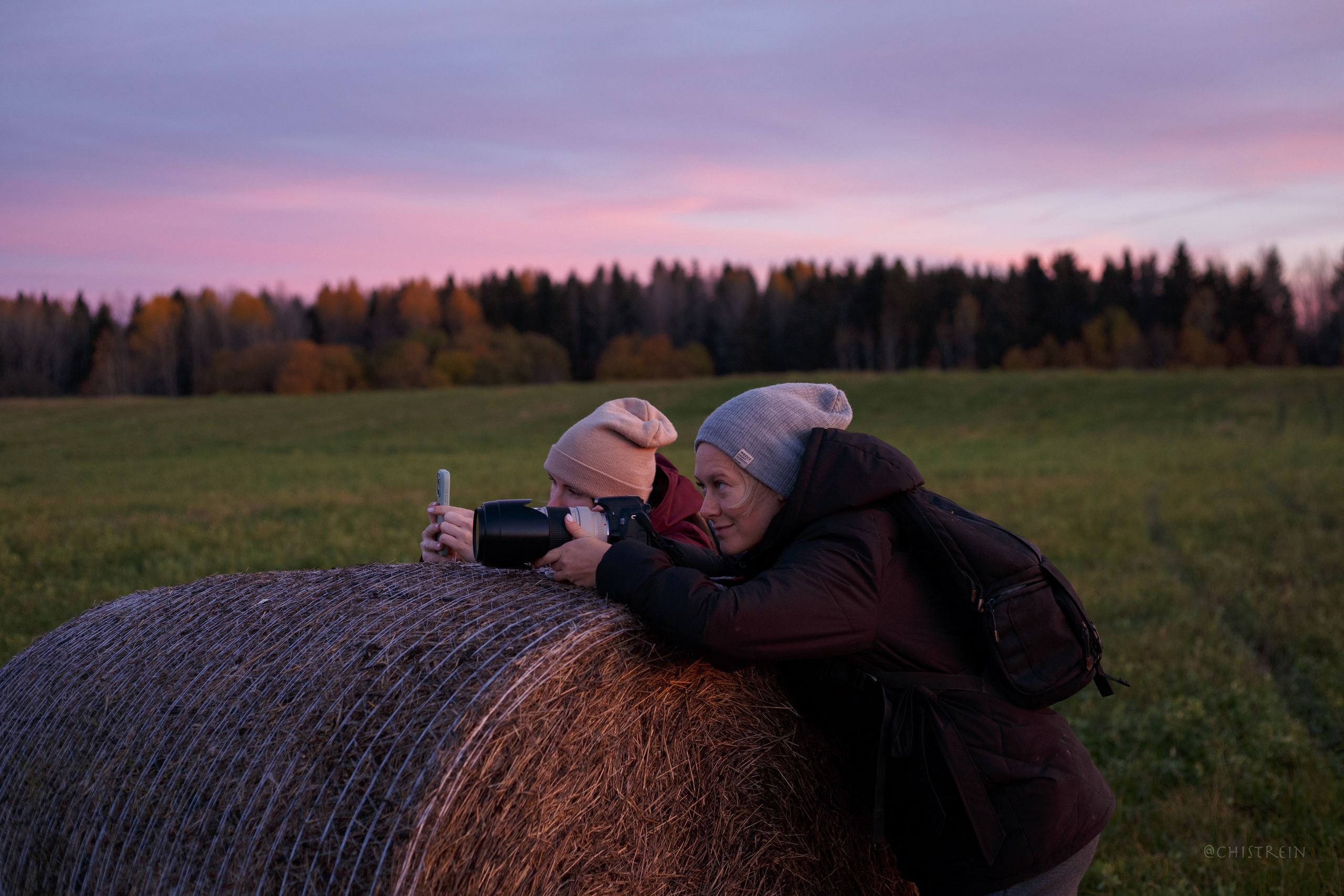Октябрьский закат в полях. Алина и Лео. Фотограф-анималист Наталия Чистюхина в г. Сосновый Бор и ЛО