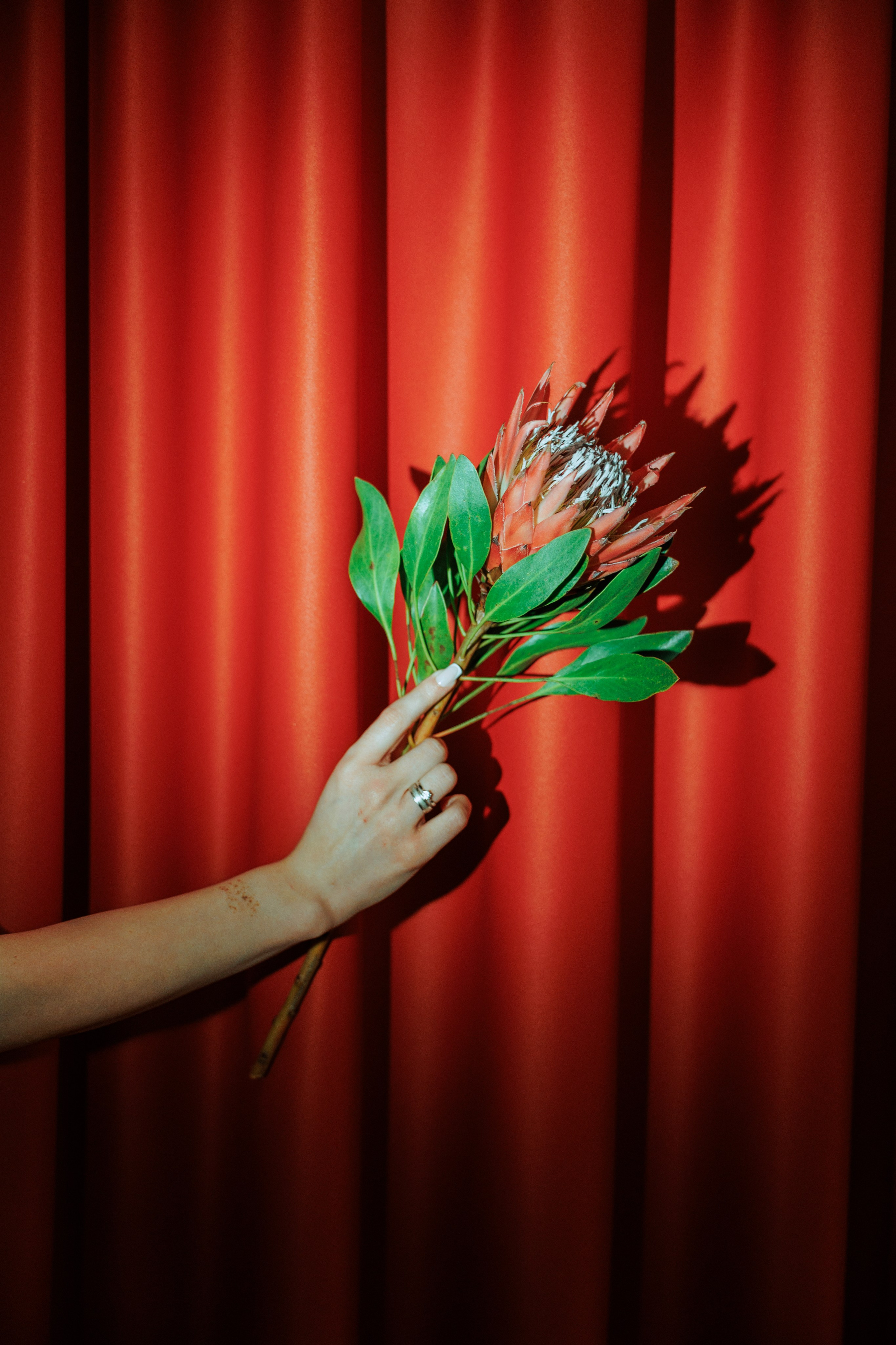 Кинотеатр Мираж