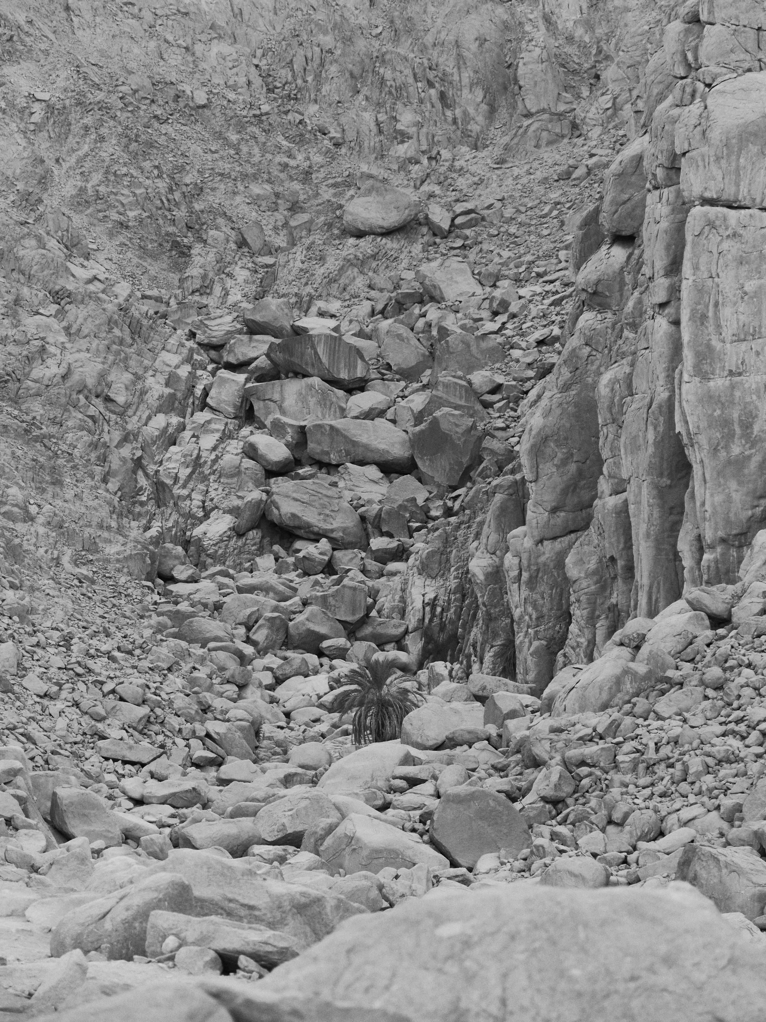 Другое 4. Jorgis — фотограф в Хургаде / обучение фотографии