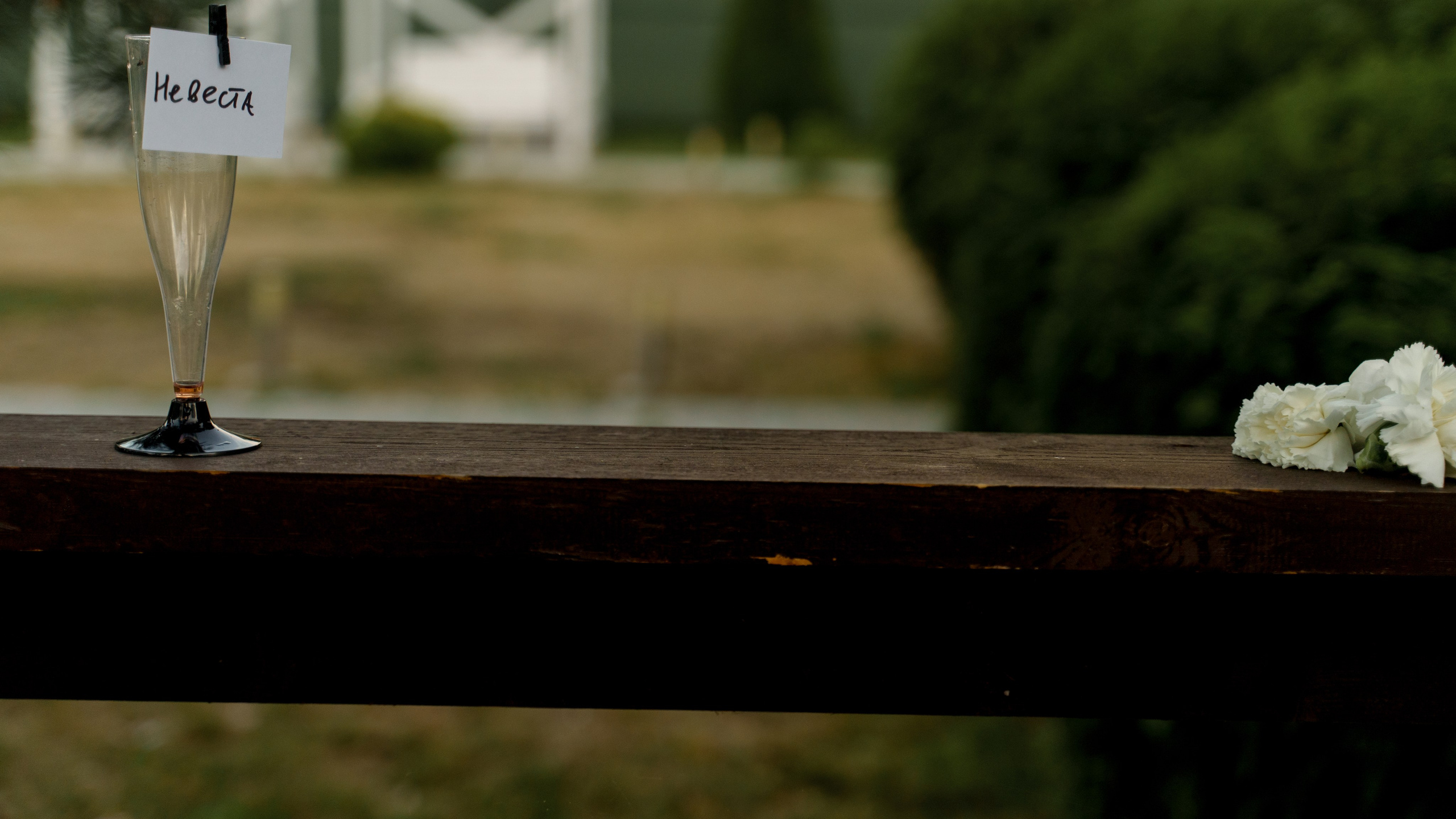 A&D PARTY. Свадебный и семейный фотограф Диана Лбова. Чебоксары