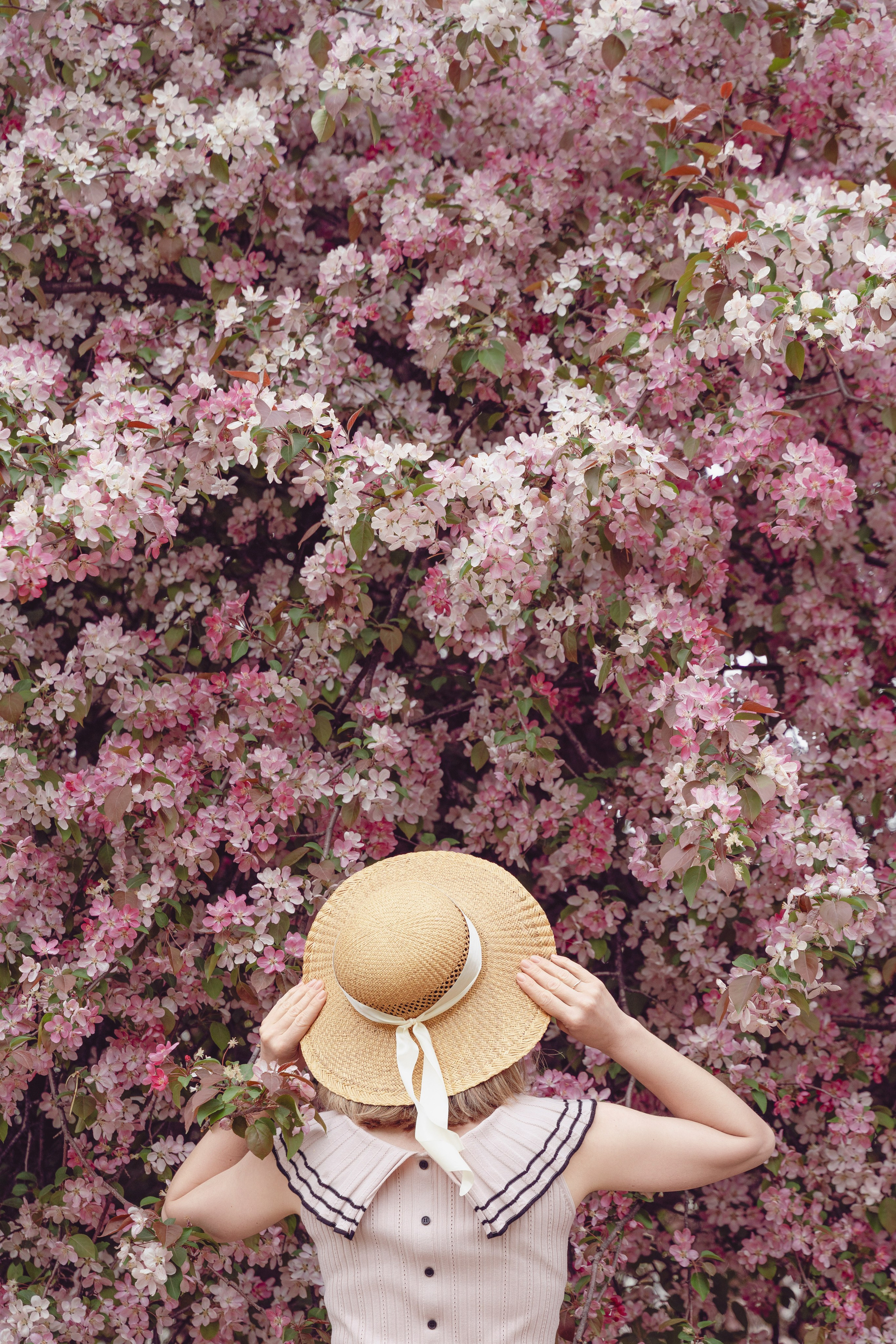 Фотосессия в яблонях в Академгородке Новосибирска