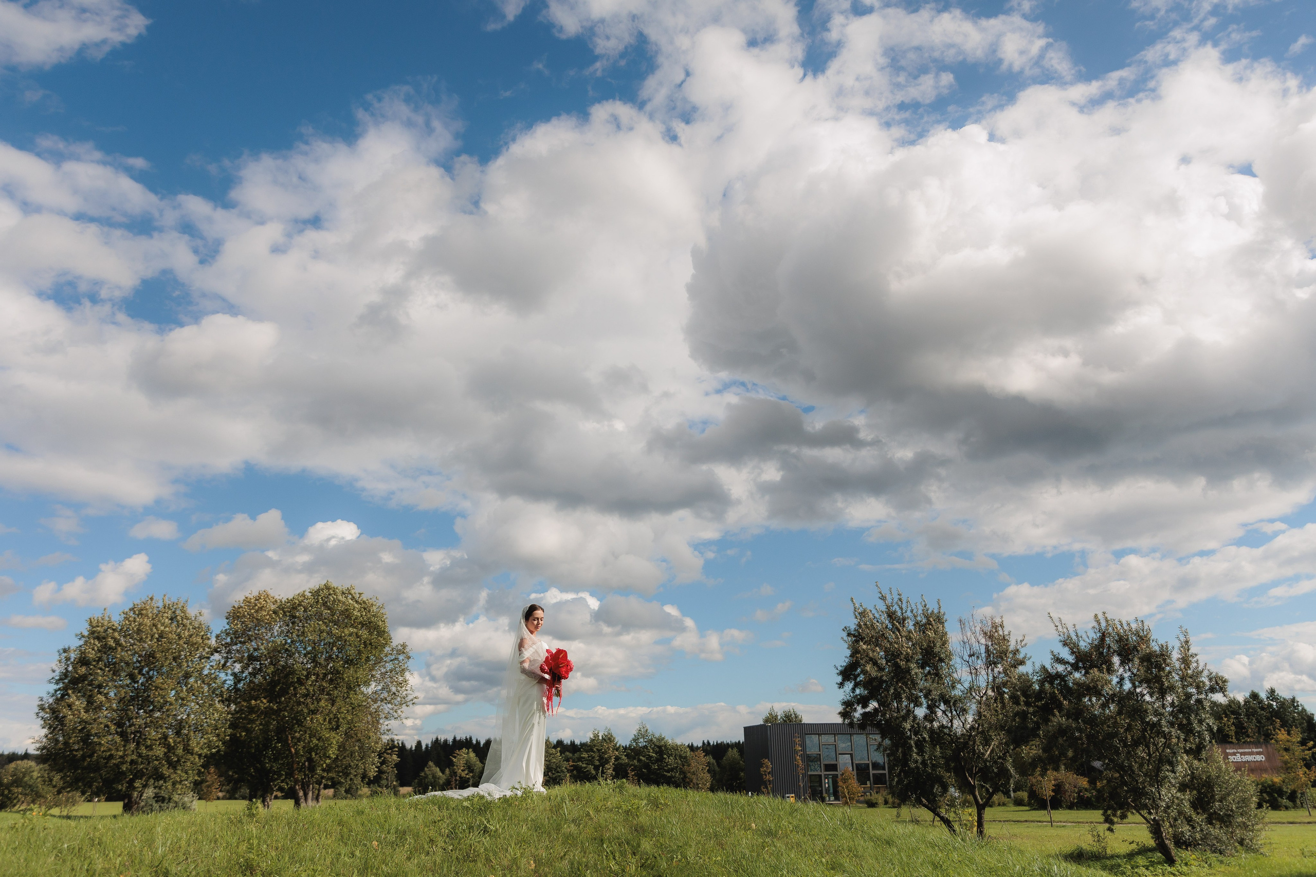 Лилия и Алексей. Фотограф Дарья Норкина