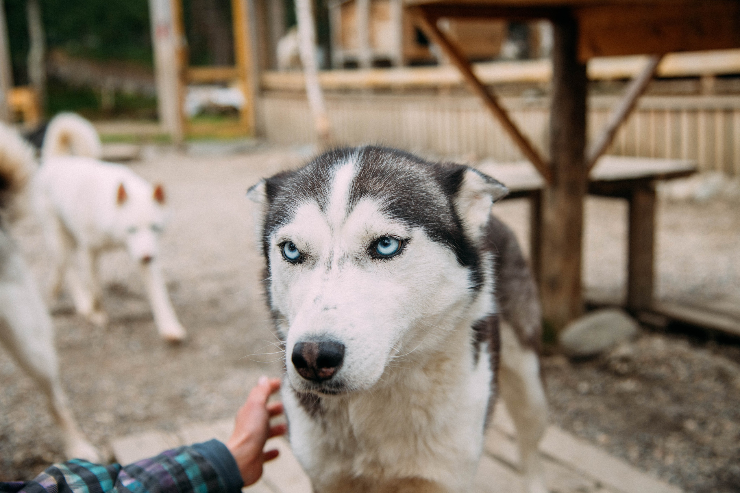 Кольский полуостров. Фотографирую для себя, своей семьи и друзей!