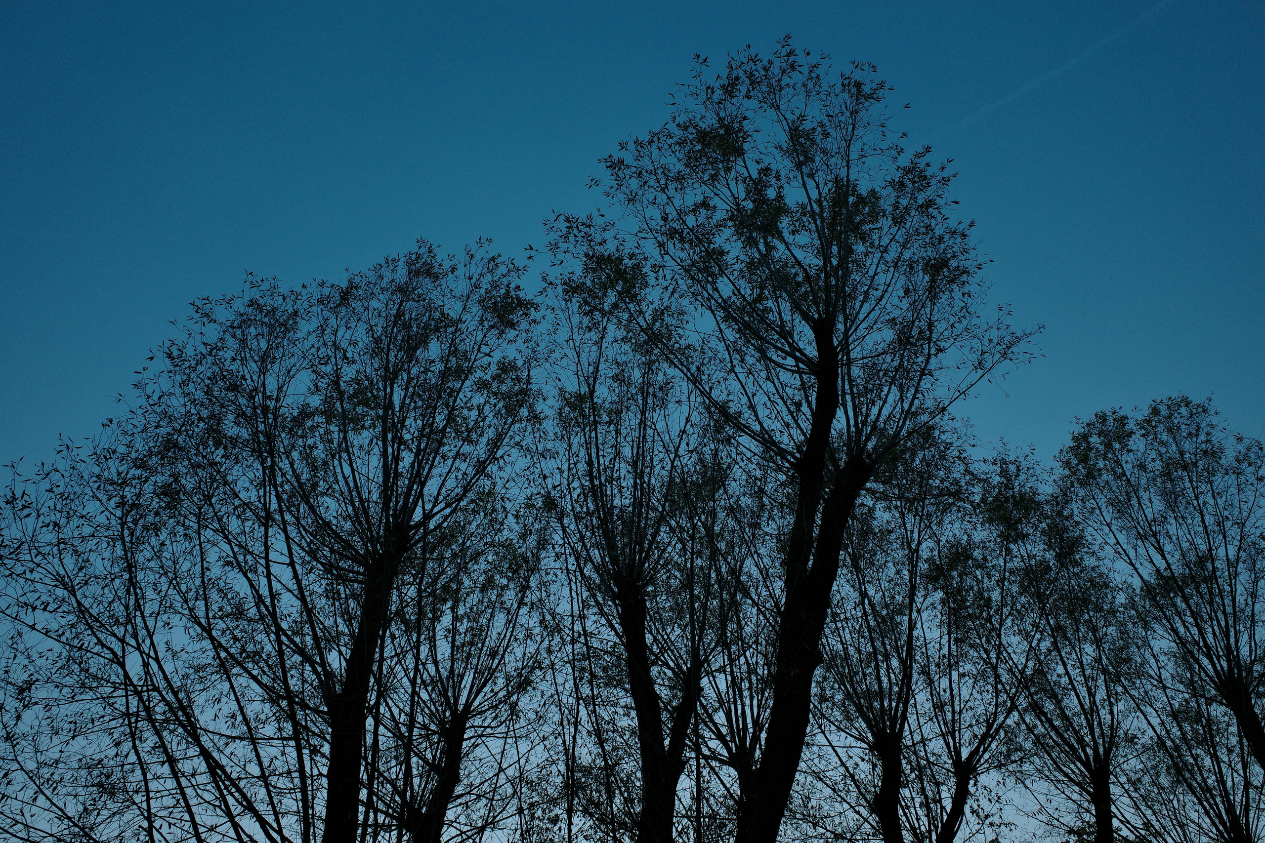 Галерея Ricoh GR3 HDF. Константин Устинов — фотограф