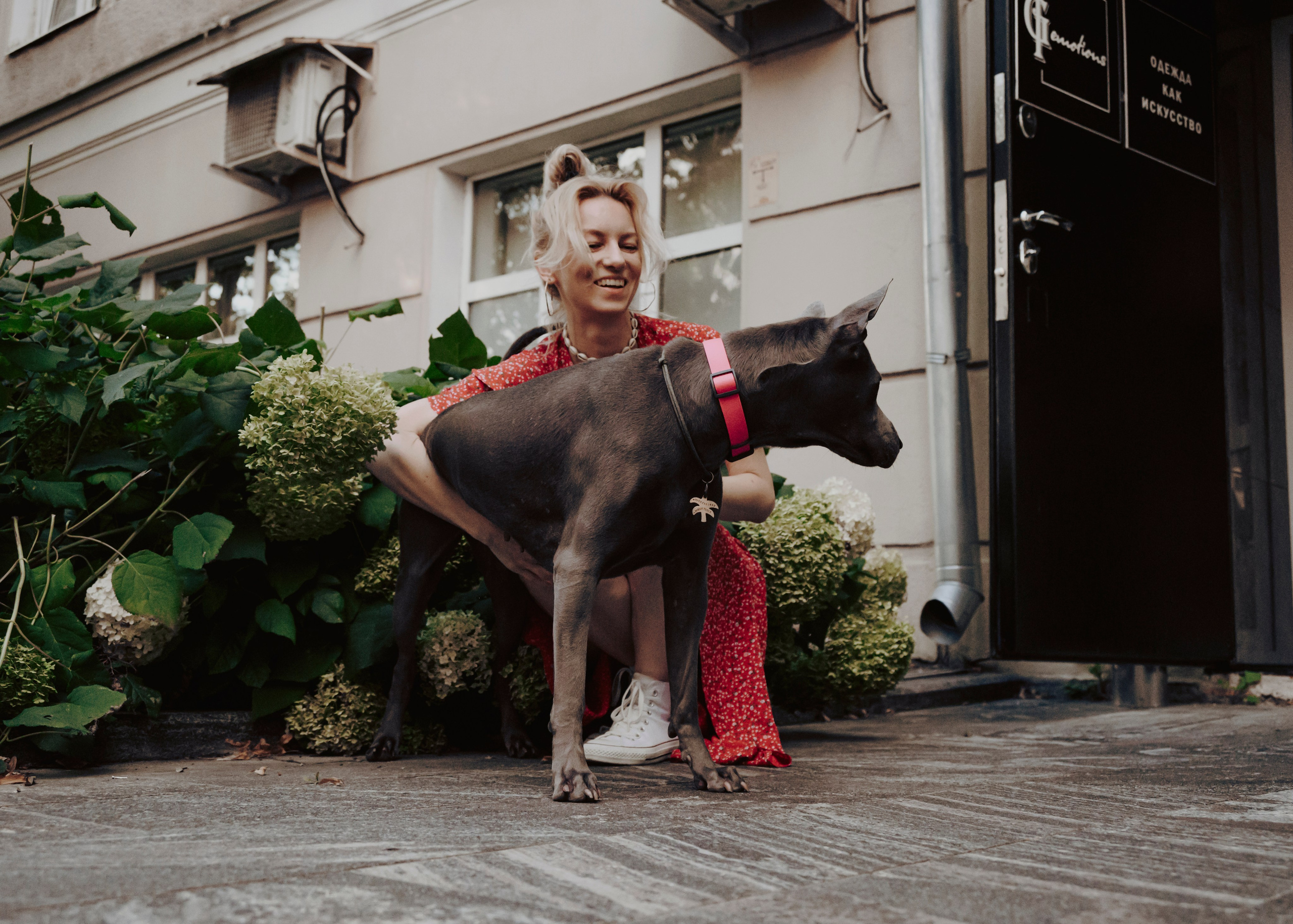 Шарма. Фотограф- анималист Александра Матвеева