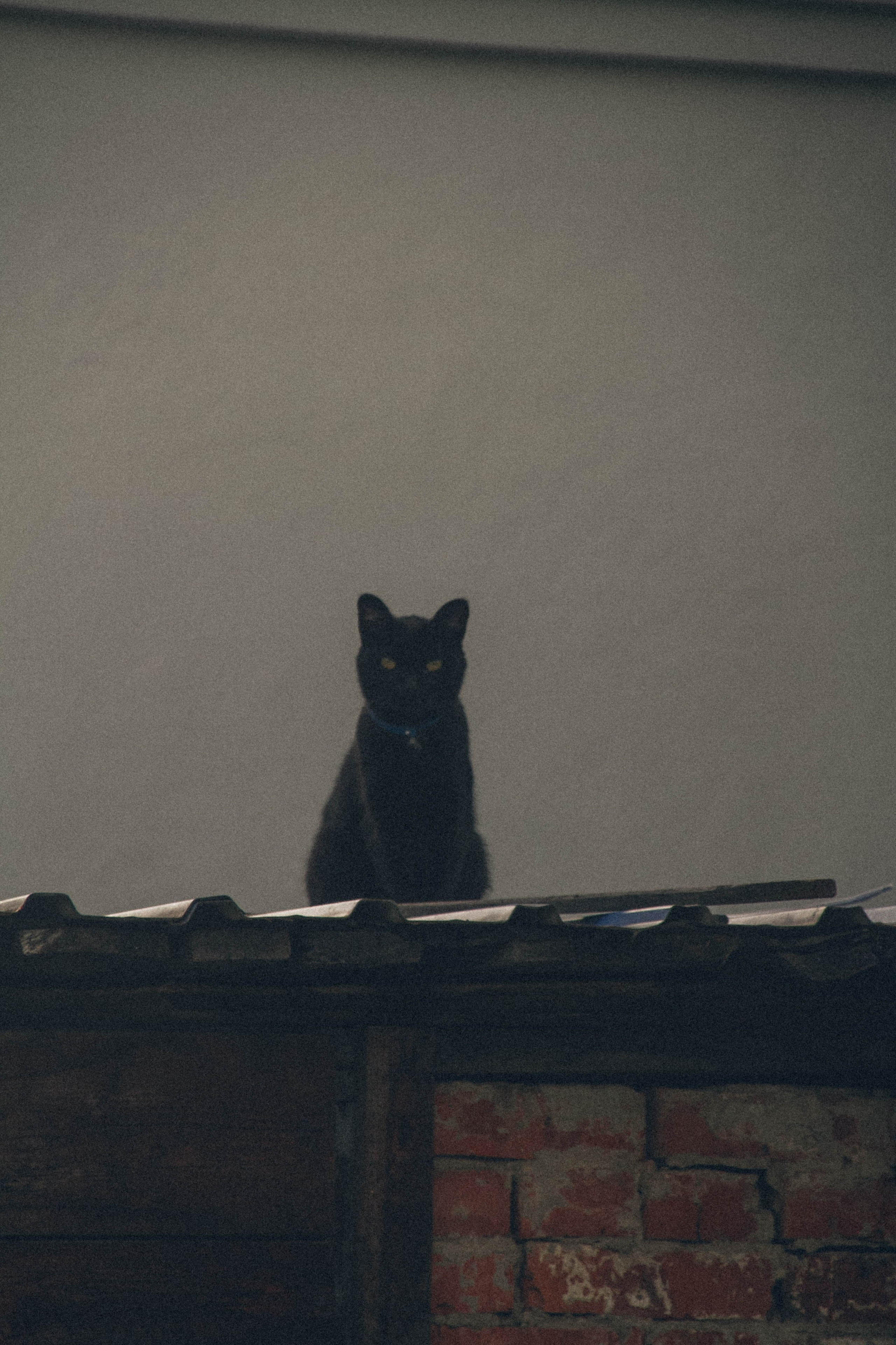 Природа. Darinishna Фэнтези-фотограф Хабаровск