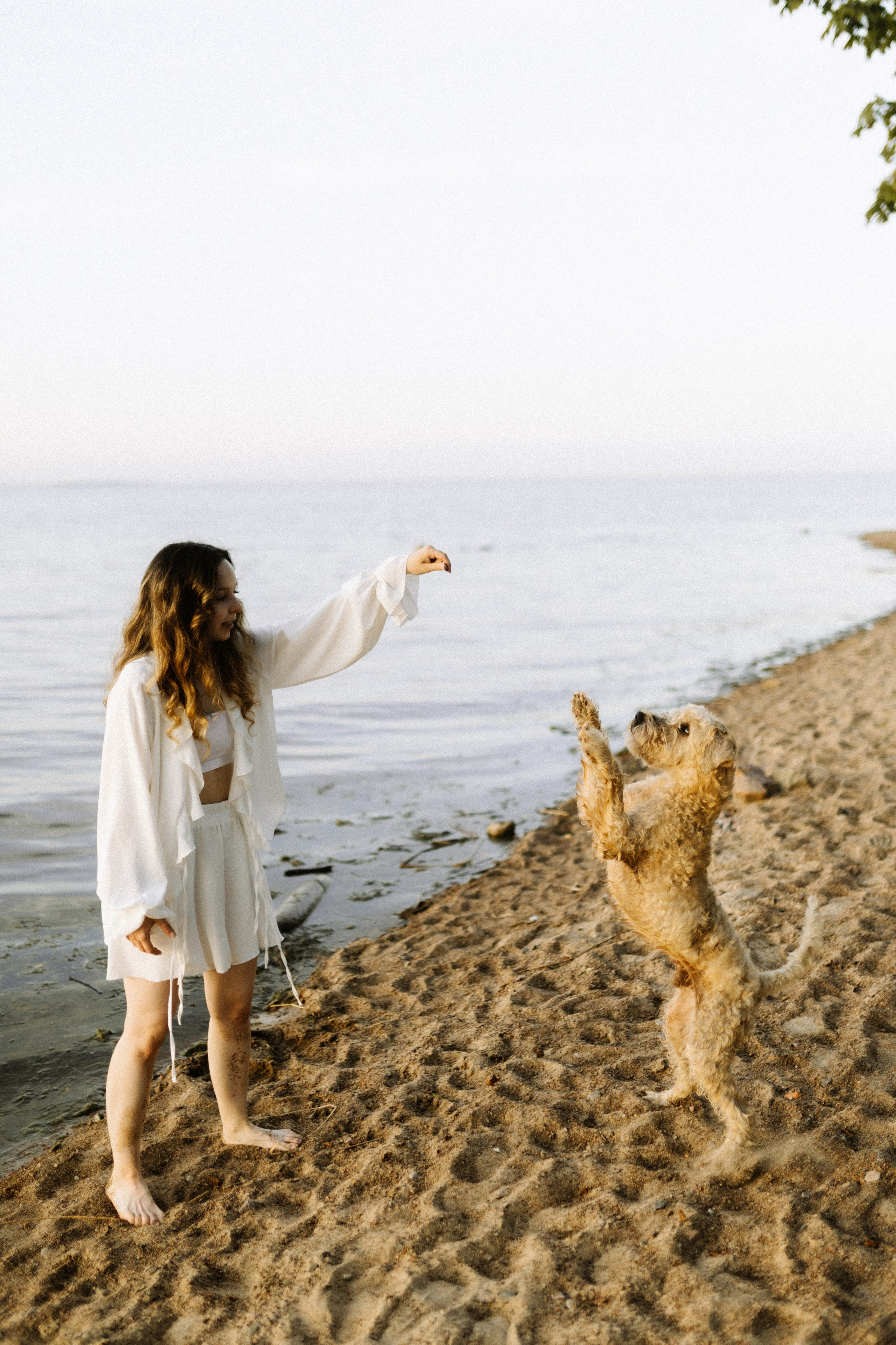 Аня, Влад и Джек. Фотограф в Санкт-Петербурге