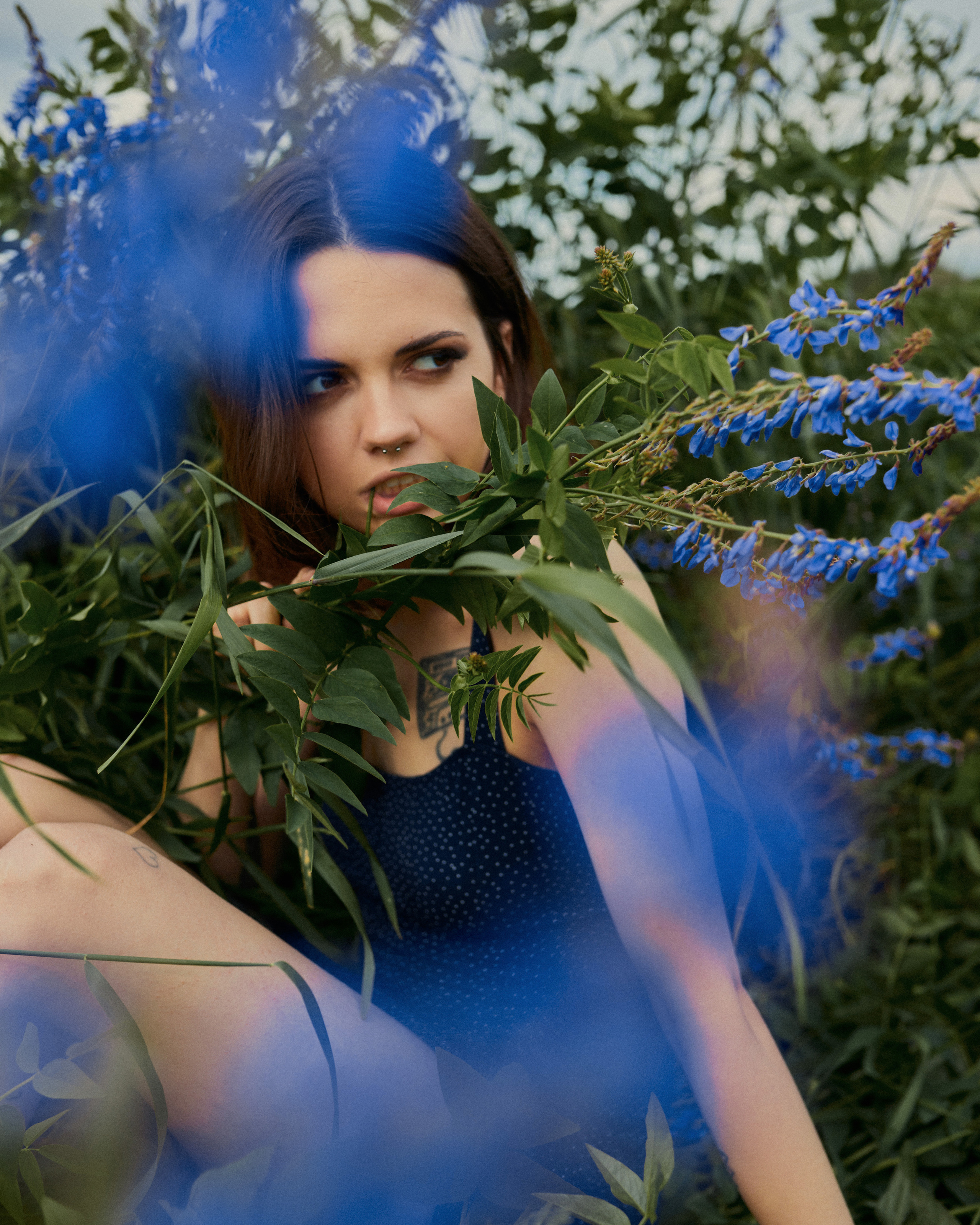 Lupinus. Михаил Мочалин — фотограф