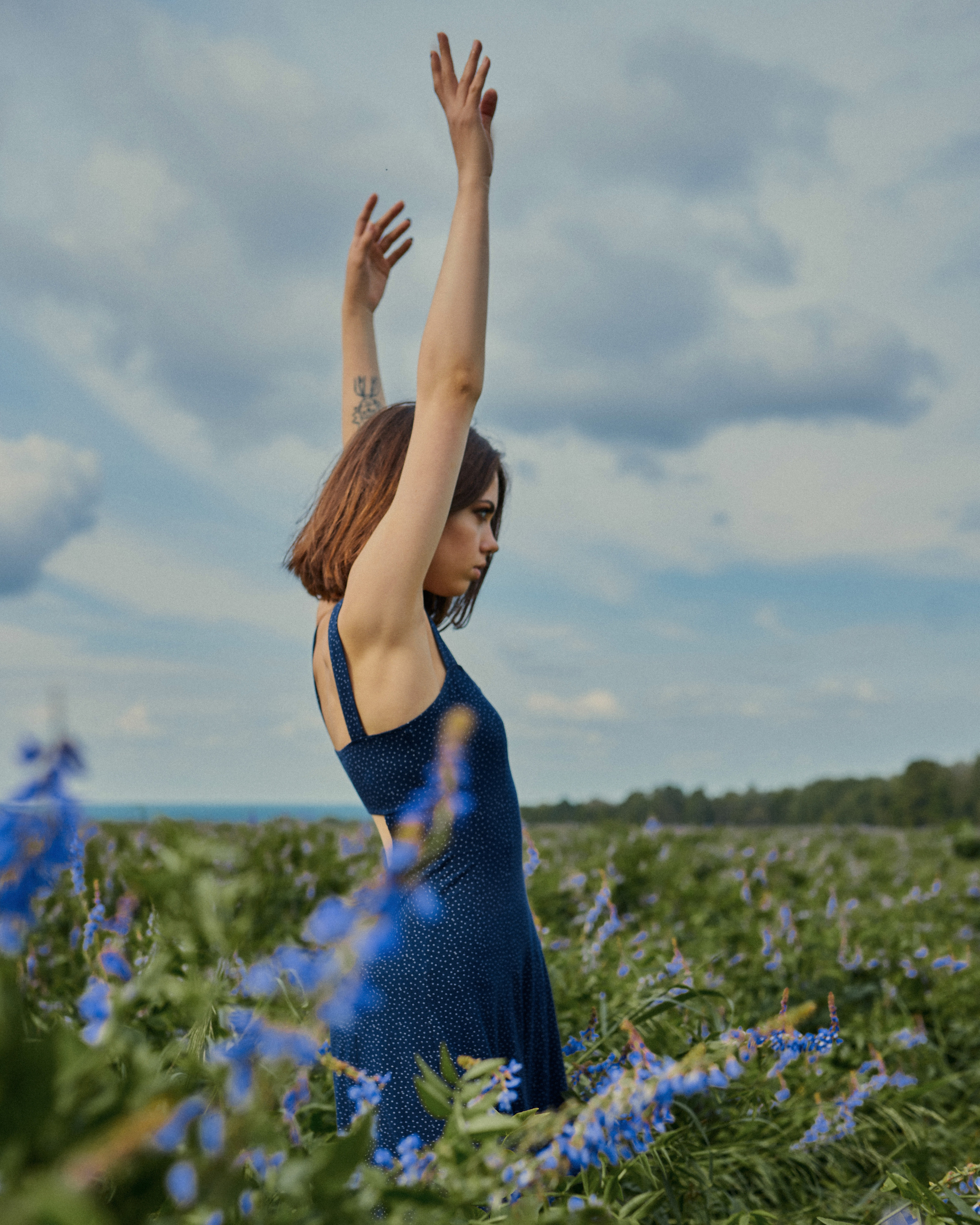 Lupinus. Михаил Мочалин — фотограф