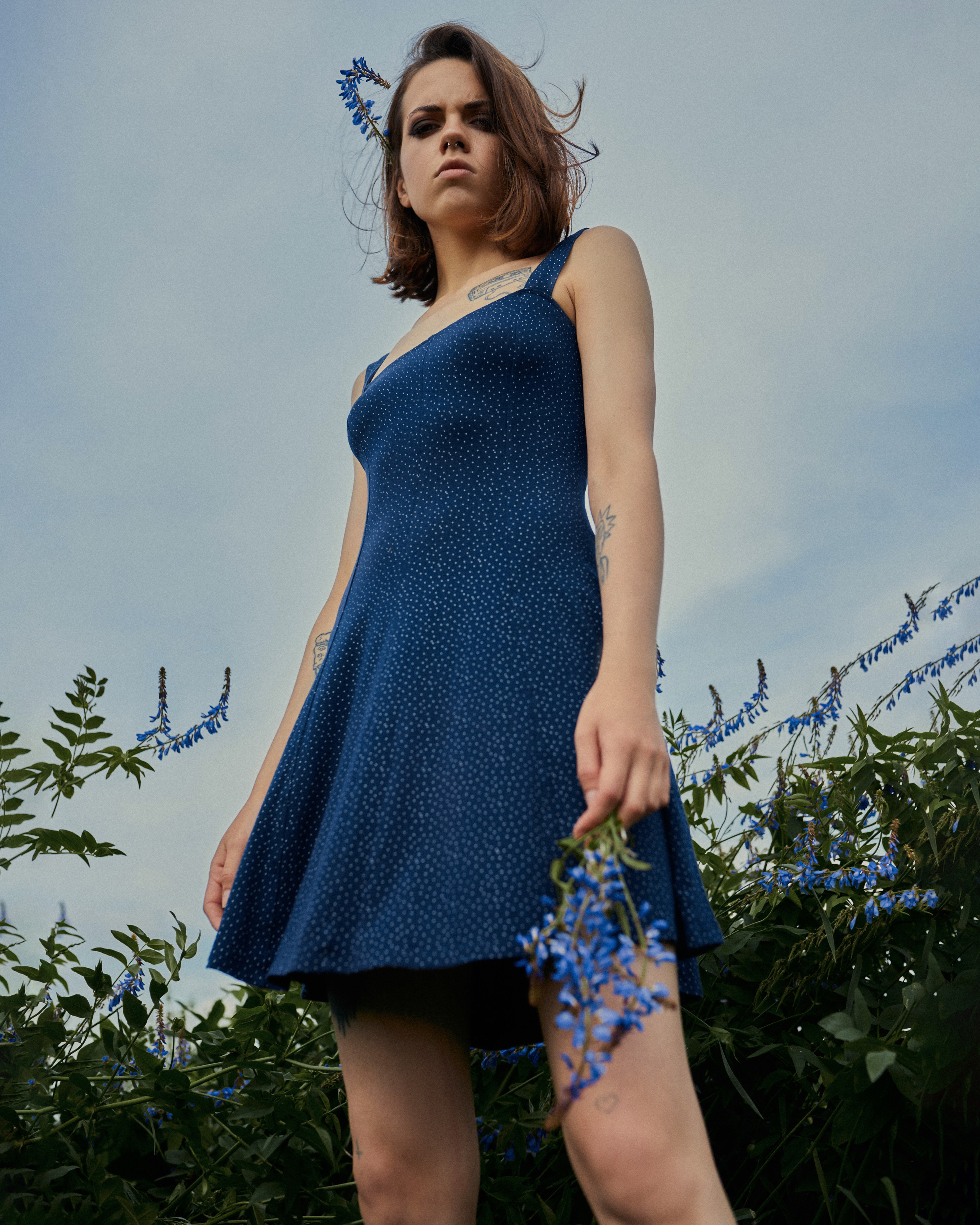 Lupinus. Михаил Мочалин — фотограф