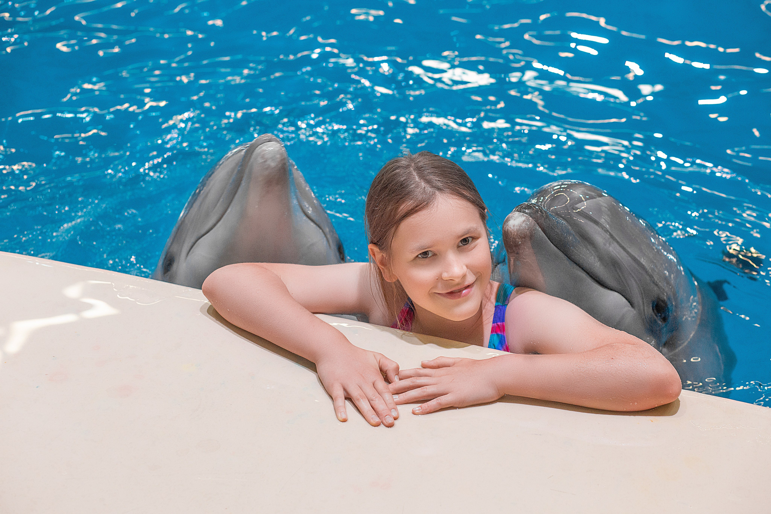 Фотосессия с дельфинами. Фотосессия с лошадьми в Нижнем Новгороде