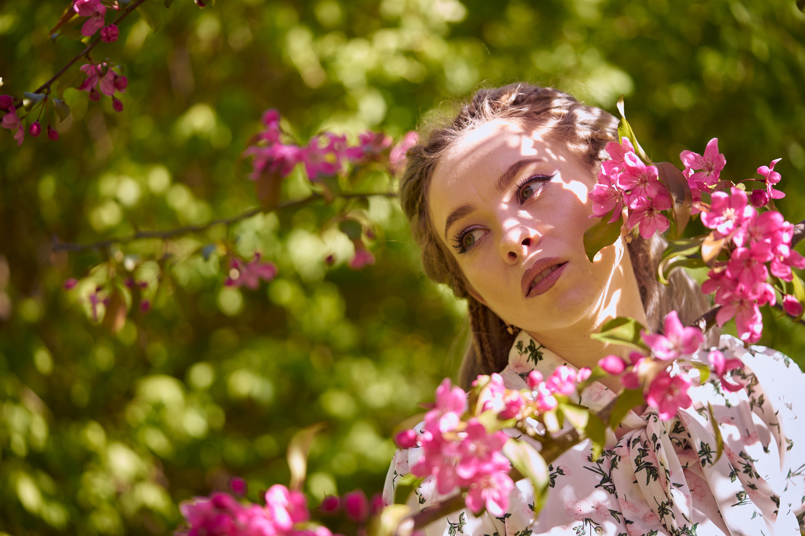 Цветочно-весеннее. Фотограф Мария Оленева