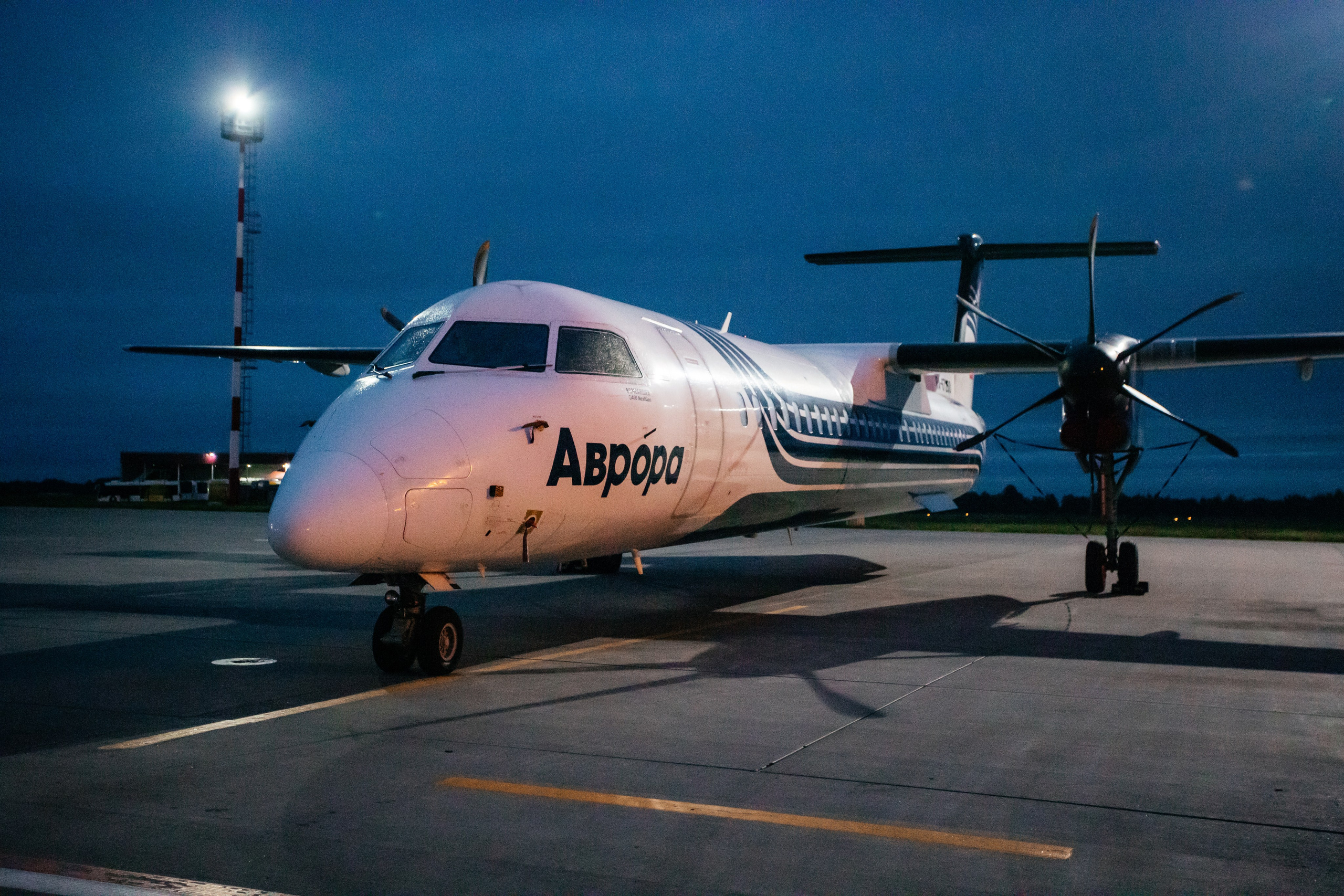 Споттинг 2024. Семейный и детский фотограф в Хабаровске Алевтина Проскурякова