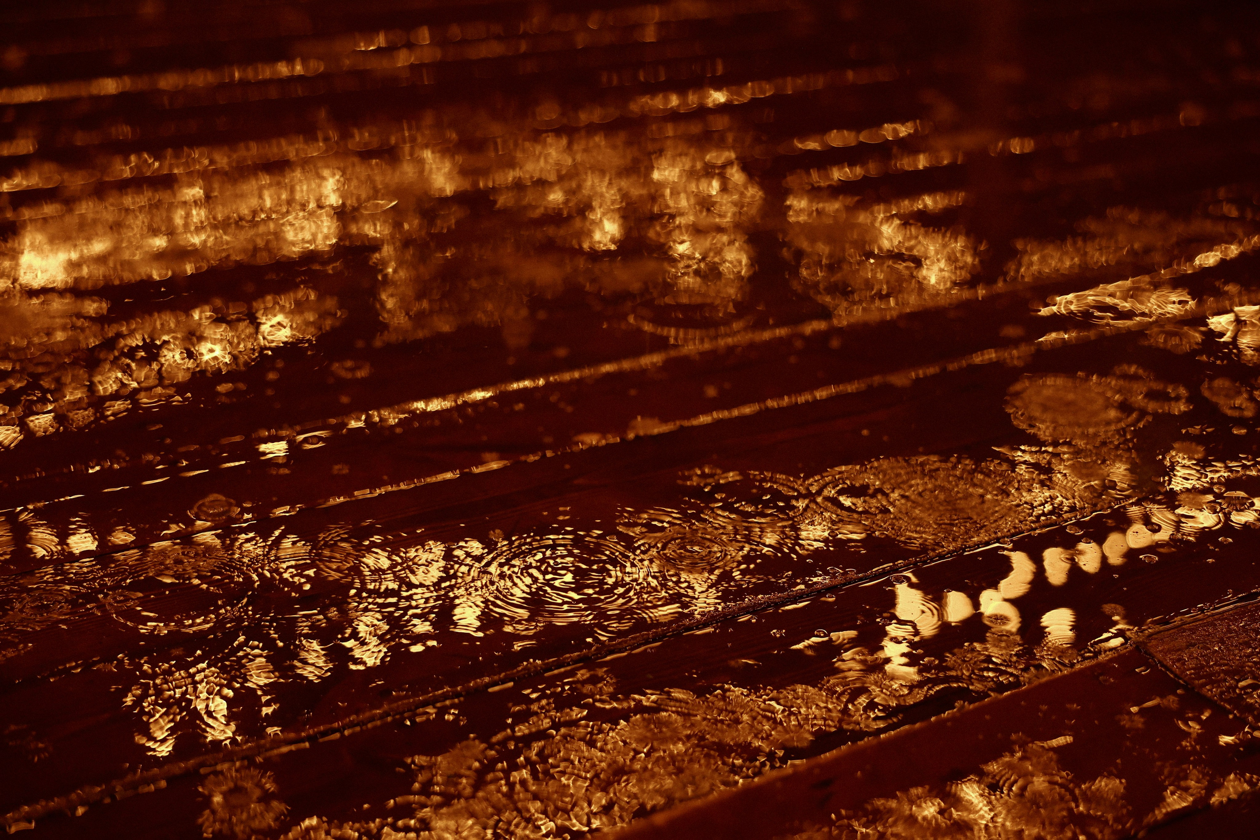 «Все начинается с любви!» — Мария и Михаил. Свадебный и семейный фотограф в Москве Ломова Ирина