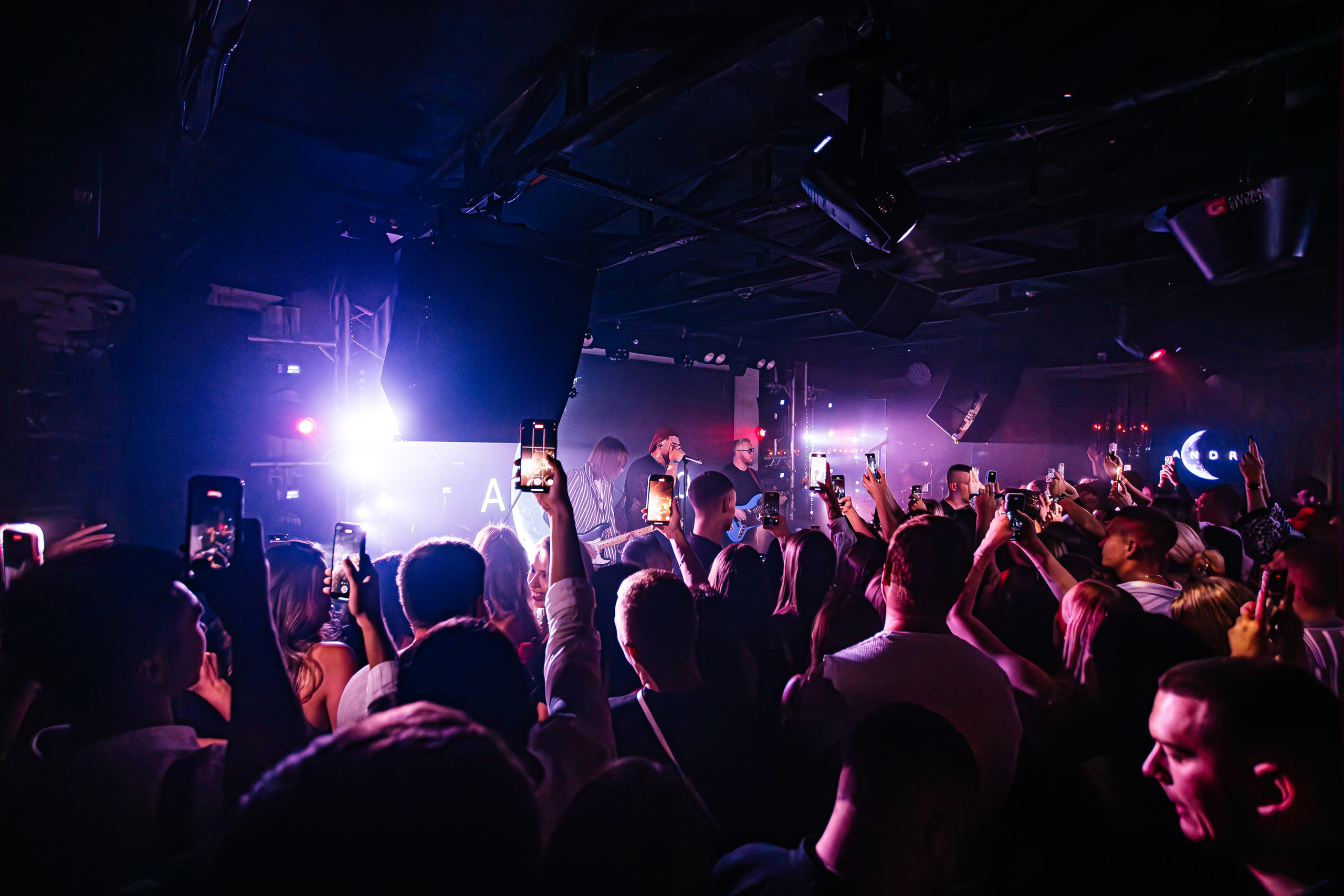 Чайка_на_пляже_Андро_Ялта_24.08.2024. Аминов Руслан | Фотограф