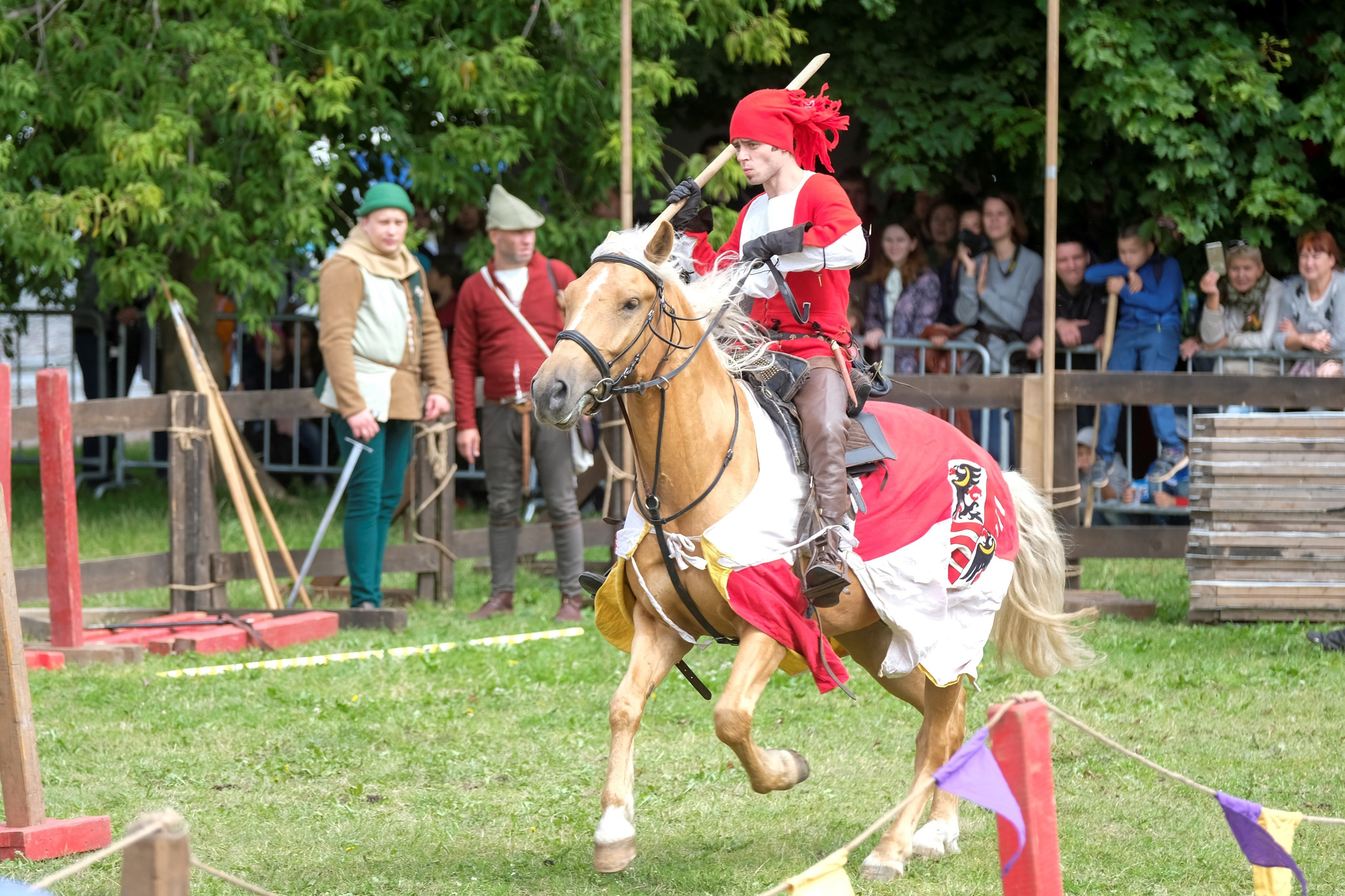 Рыцарский турнир, Спб 2019. Фотограф Дмитрий Алексеев