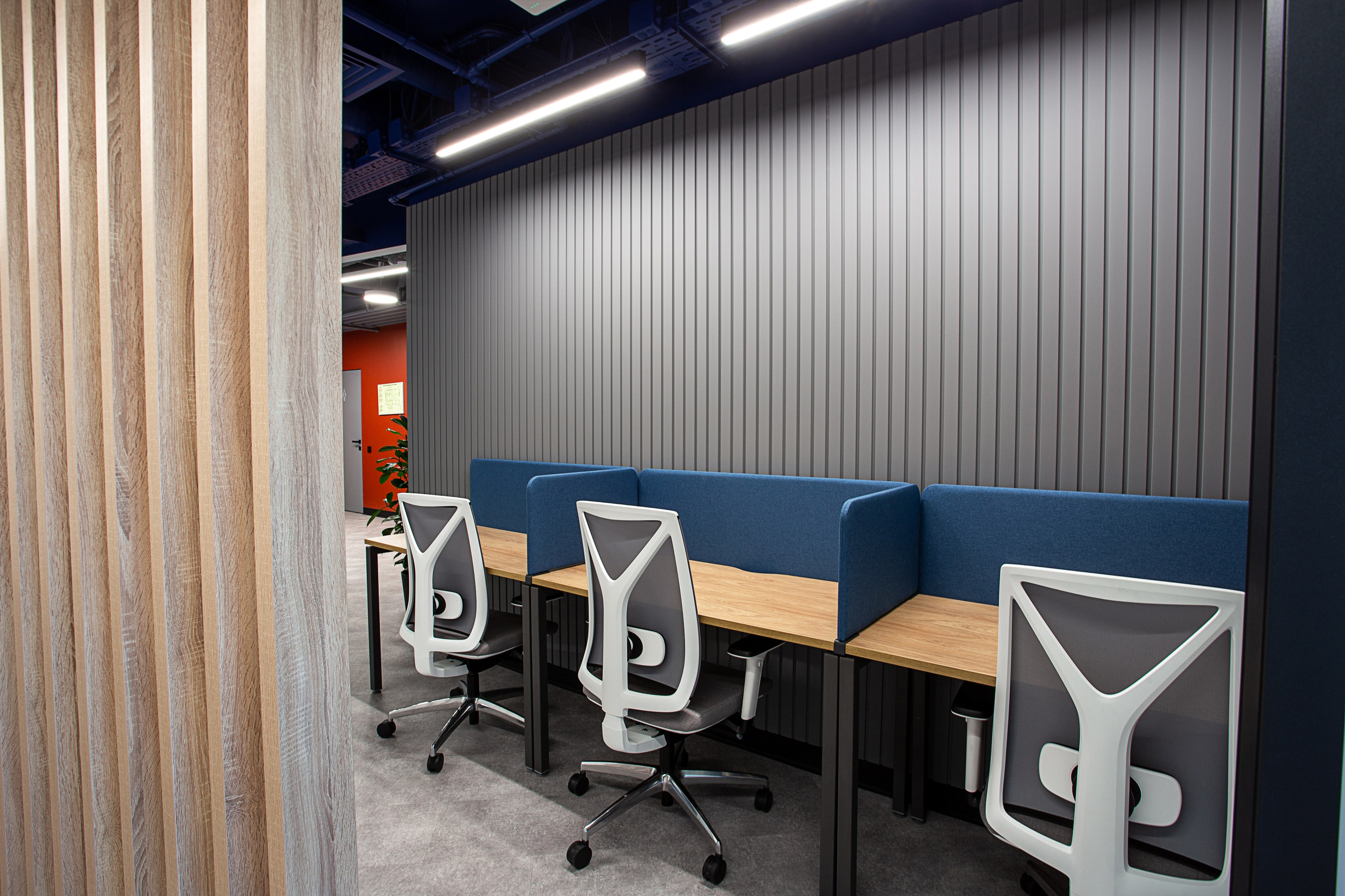 Офисы Инфотех. Контент фотограф, съемка для маркетплейсов, фуд съемка и репортажи в Новосибирске Ралия Галеева