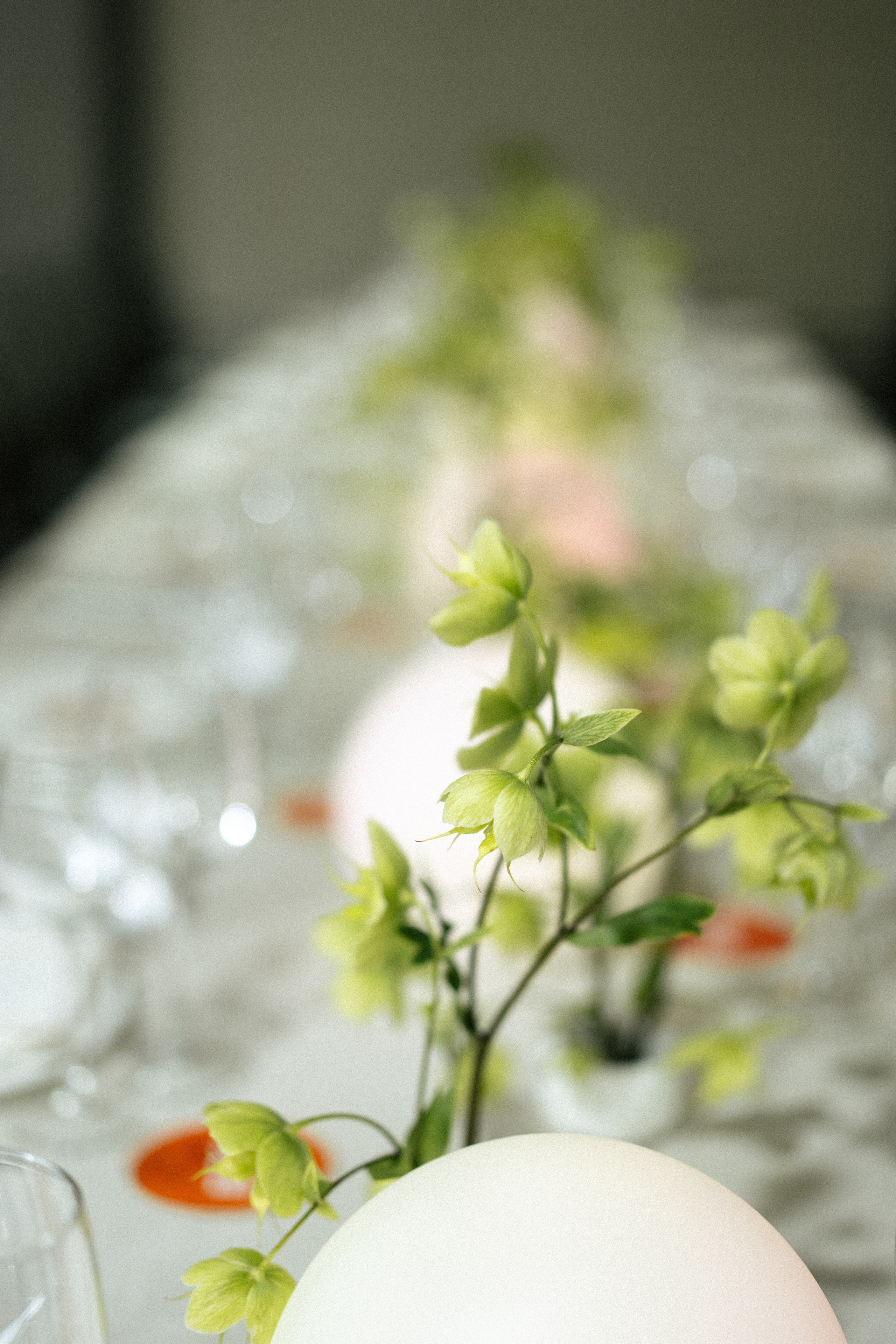 Иван и Екатерина. Wedding and family photographer