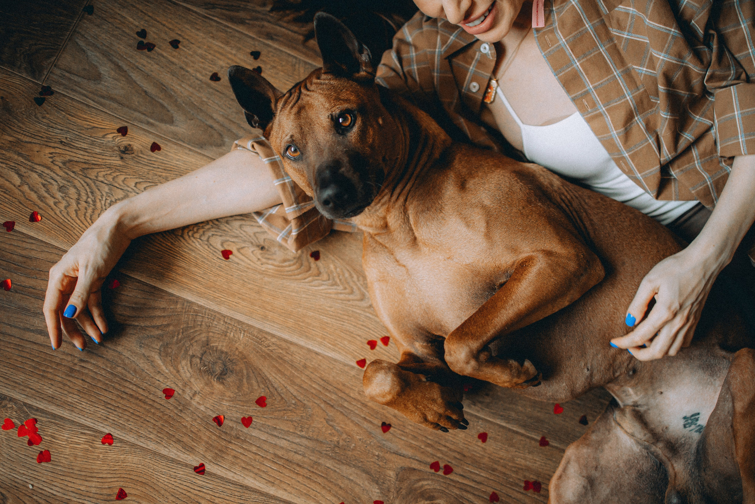 Оксана и Зевс