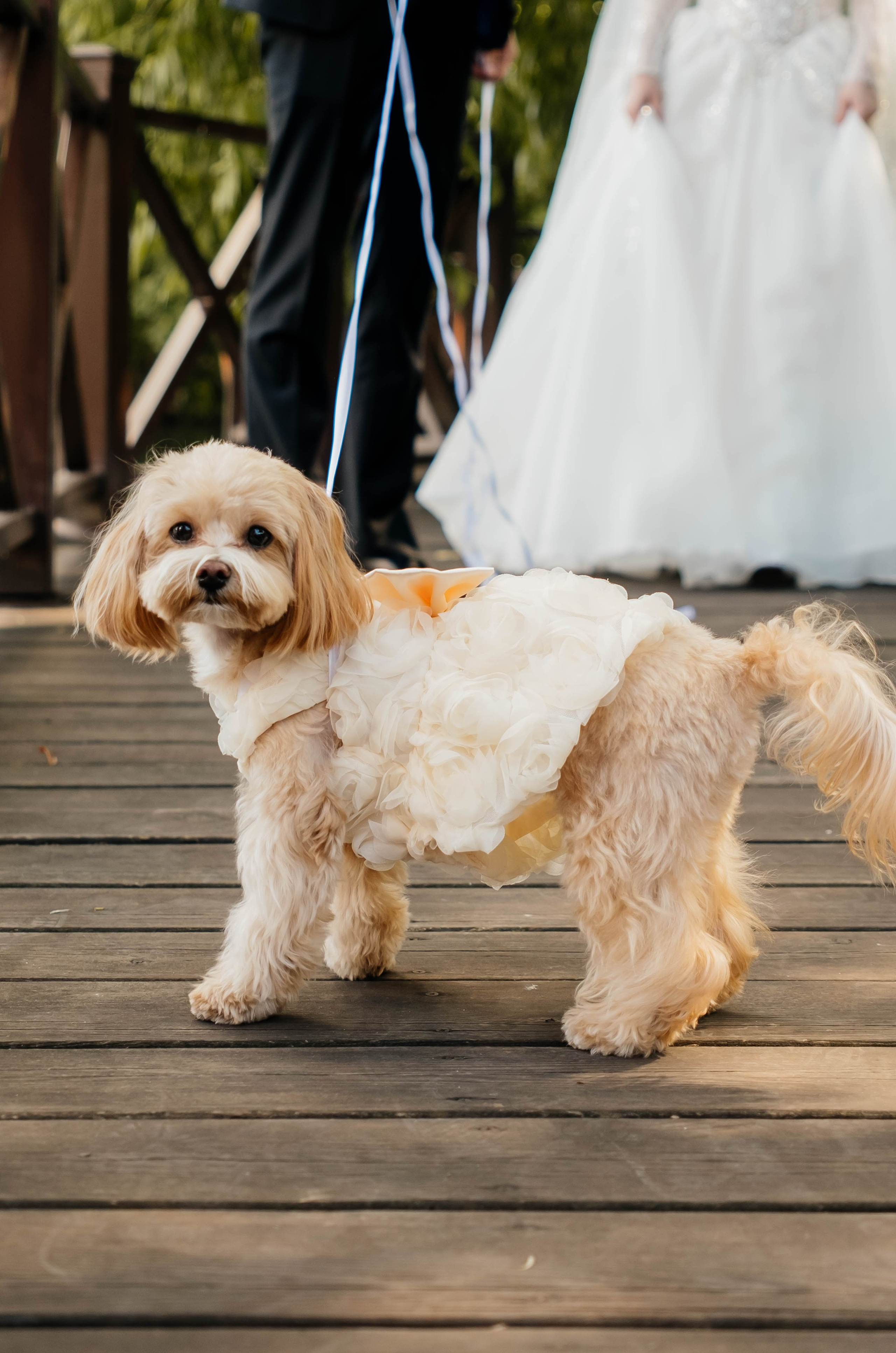 Федор&Полина. Фотограф в Челябинске I Надин Палмер