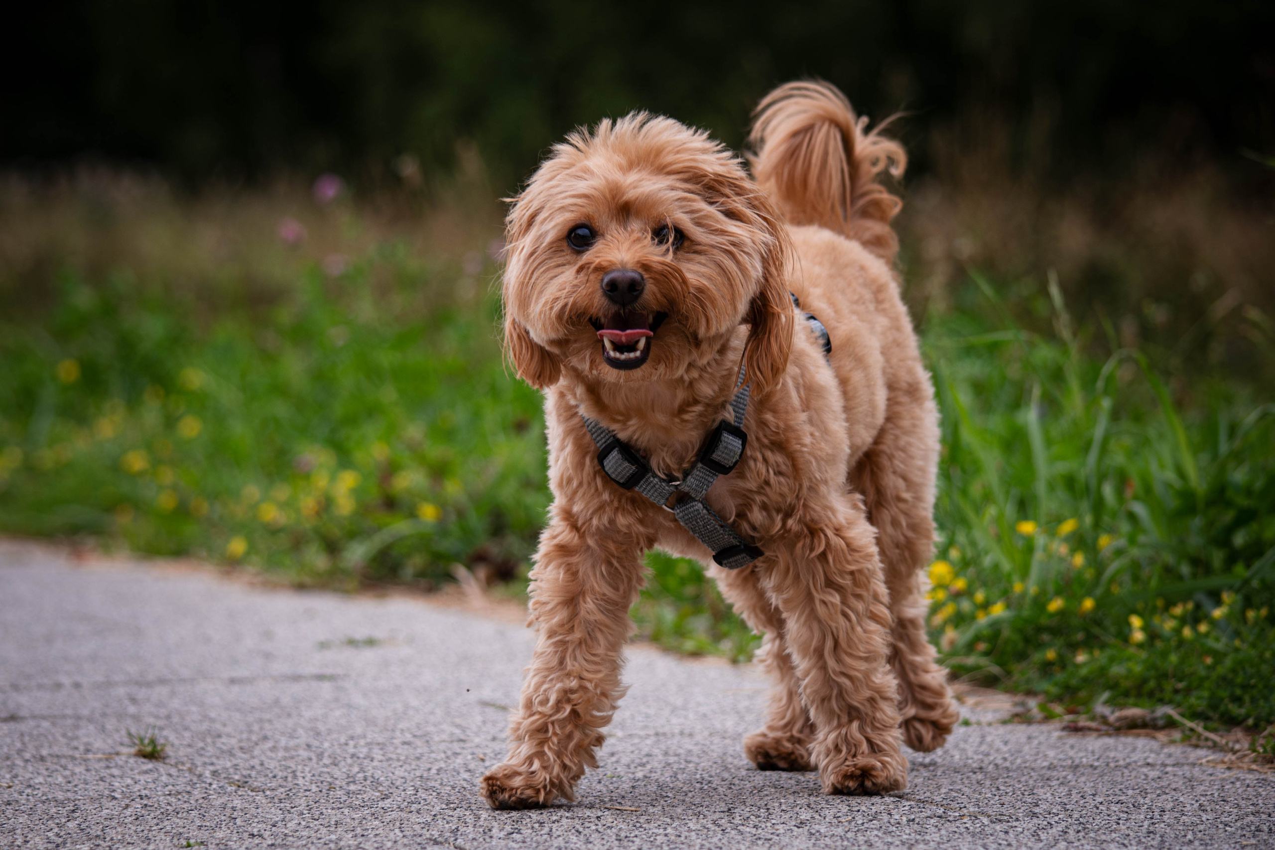 Прогулка в парке Митино. Фотограф Светлана Блинова, Москва и Московская область