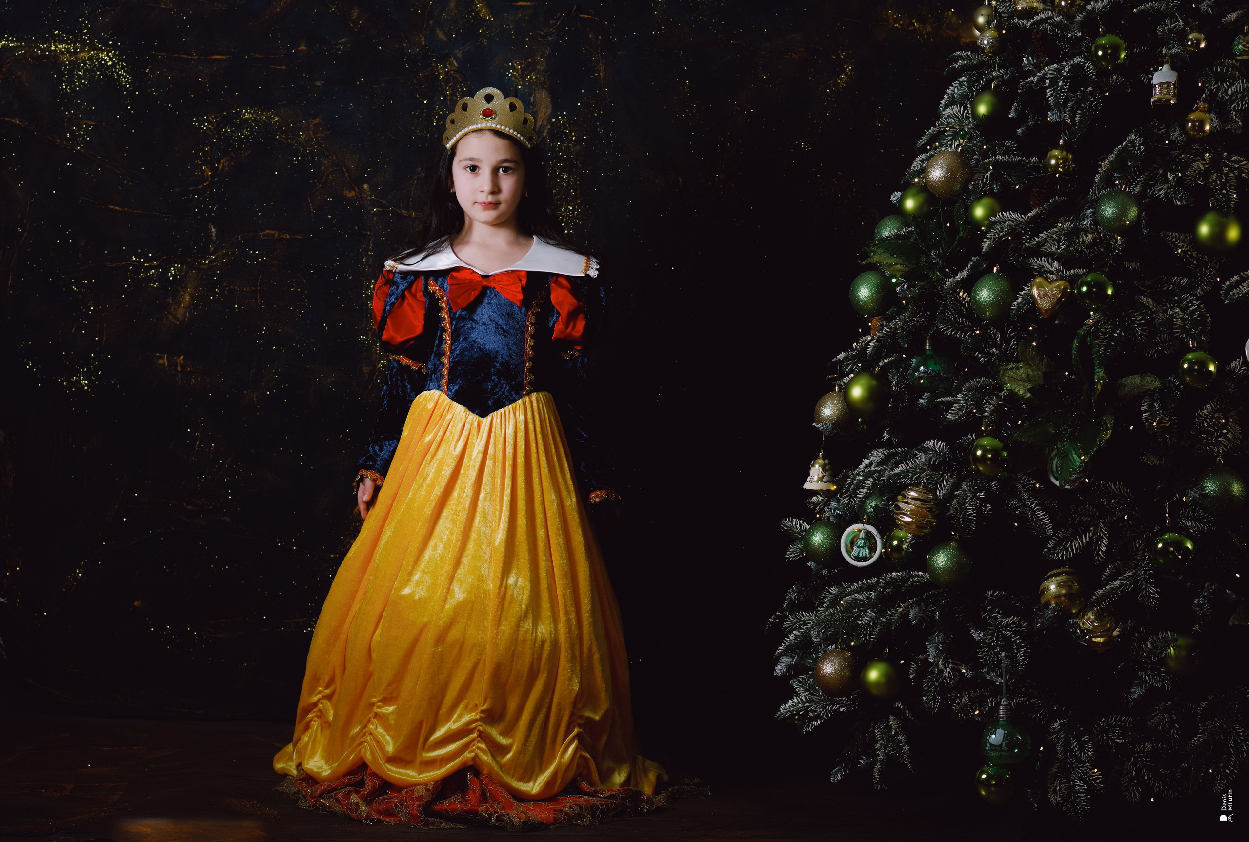 Новогодние открытки. Портретный фотограф Денис Милютин