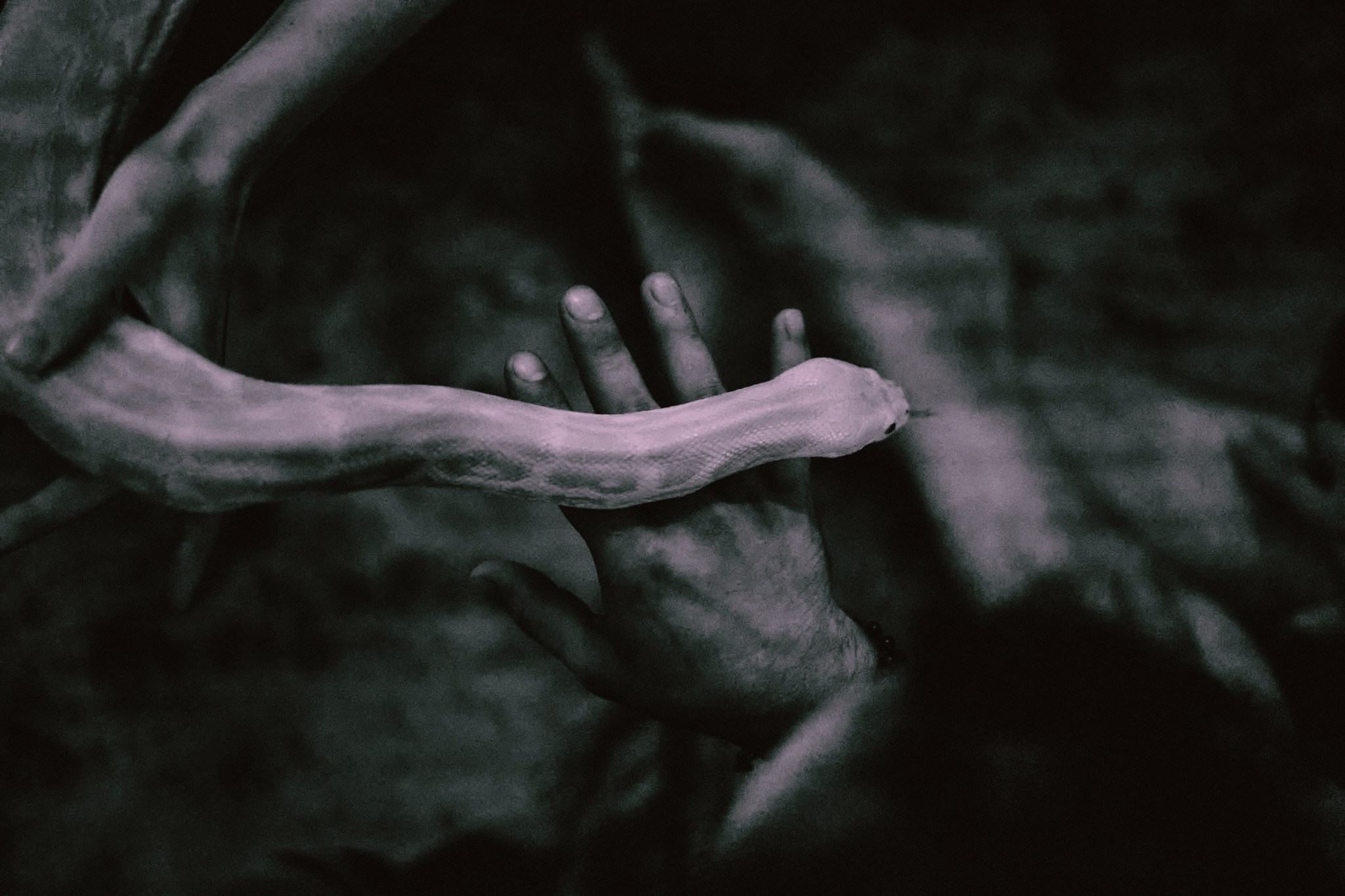 Dance performance Snake | Пространство «Лес». Фотограф Аннё| Москва