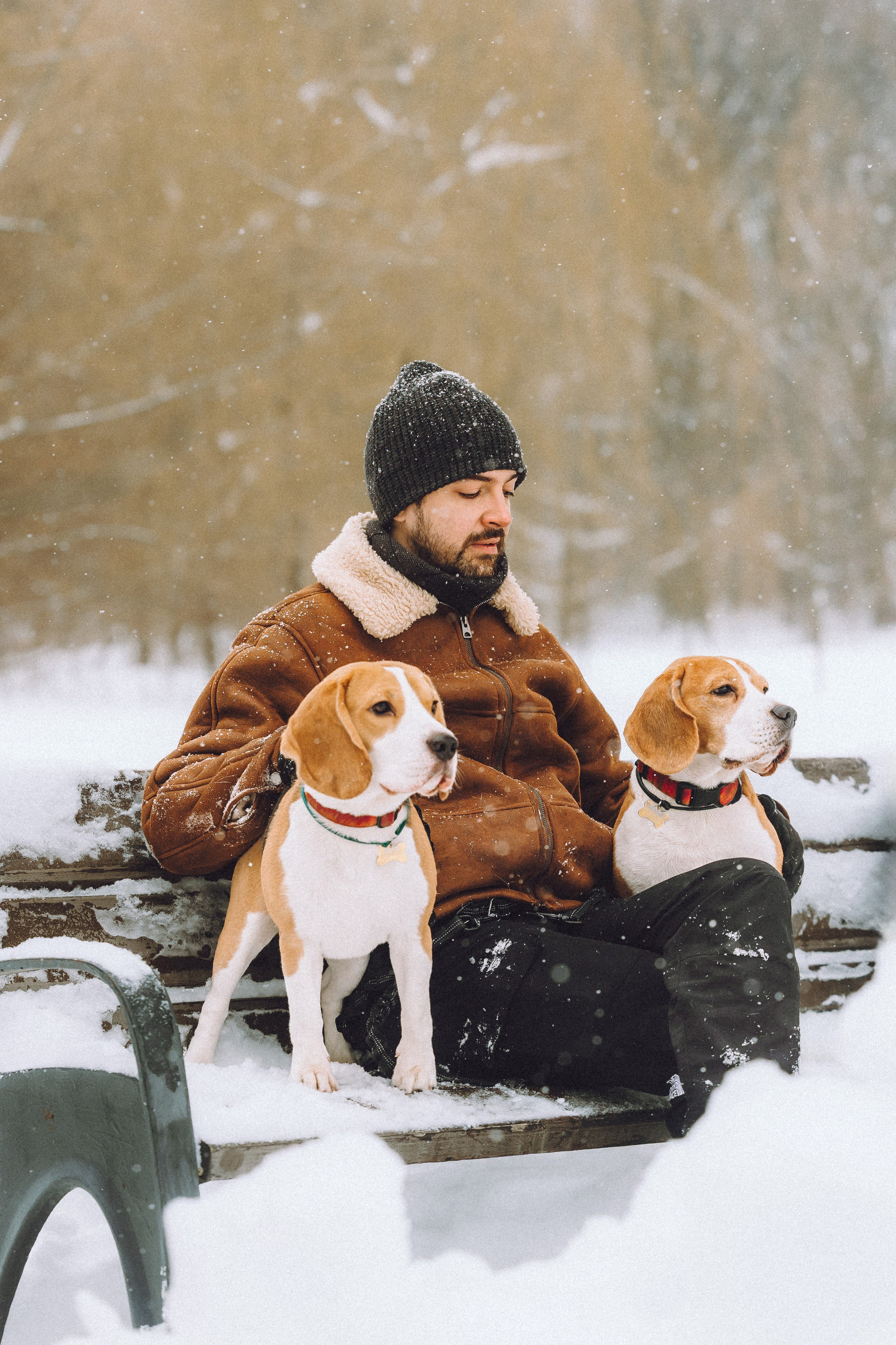 Роман, Портер и Коррес