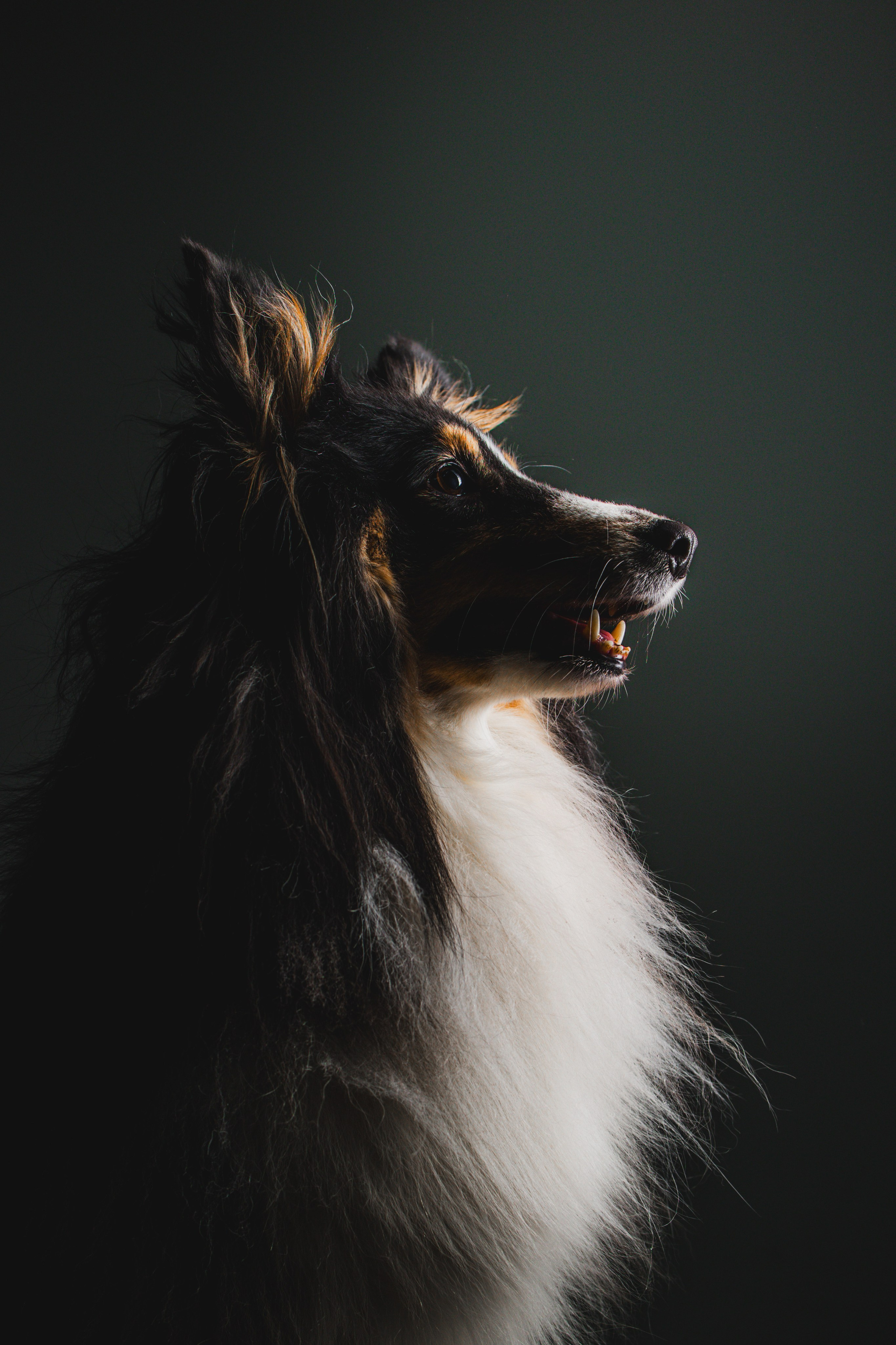 Воркшоп по импульсному свету