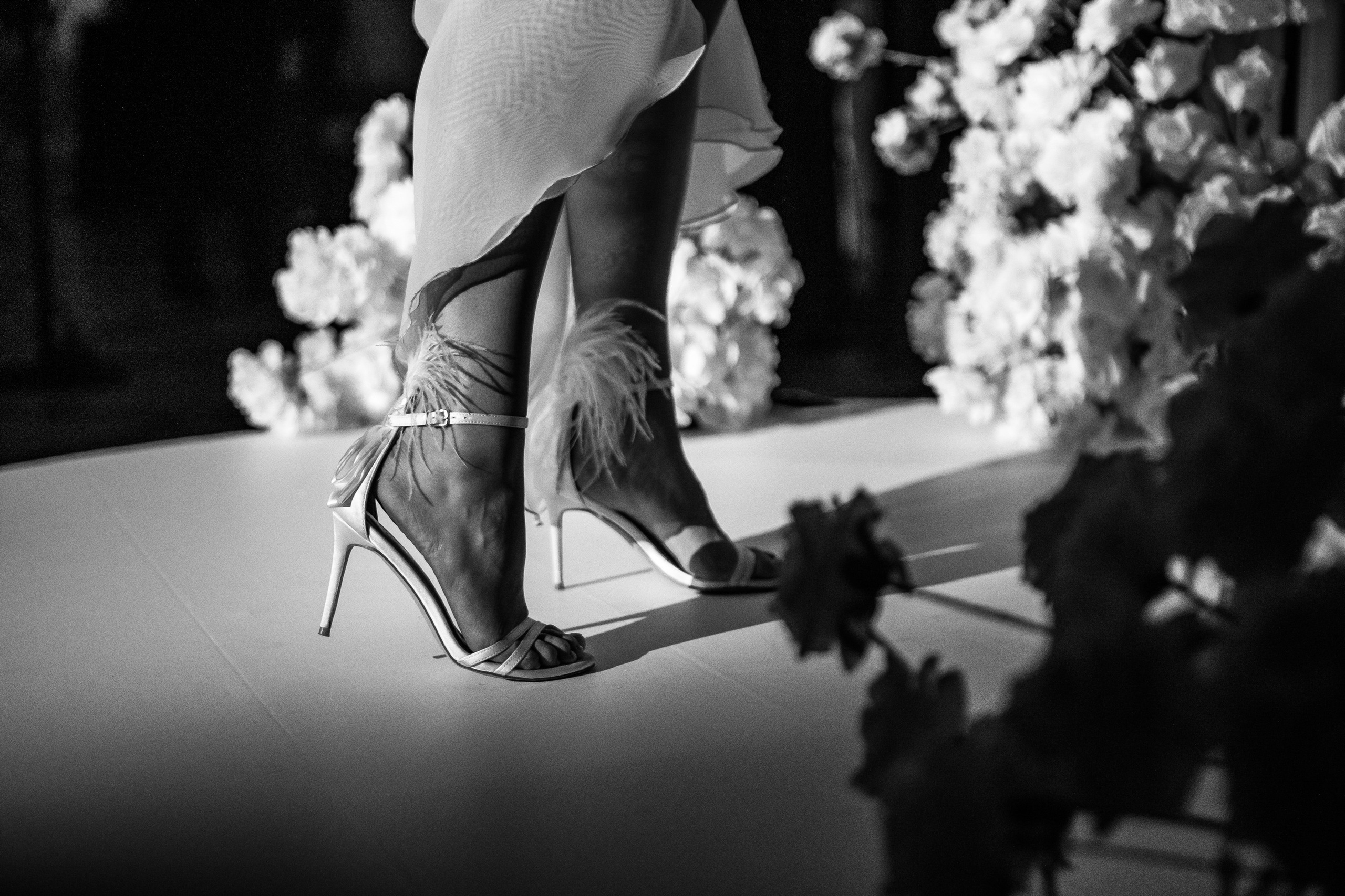 D&S. Фотограф Таганрог Хребет София