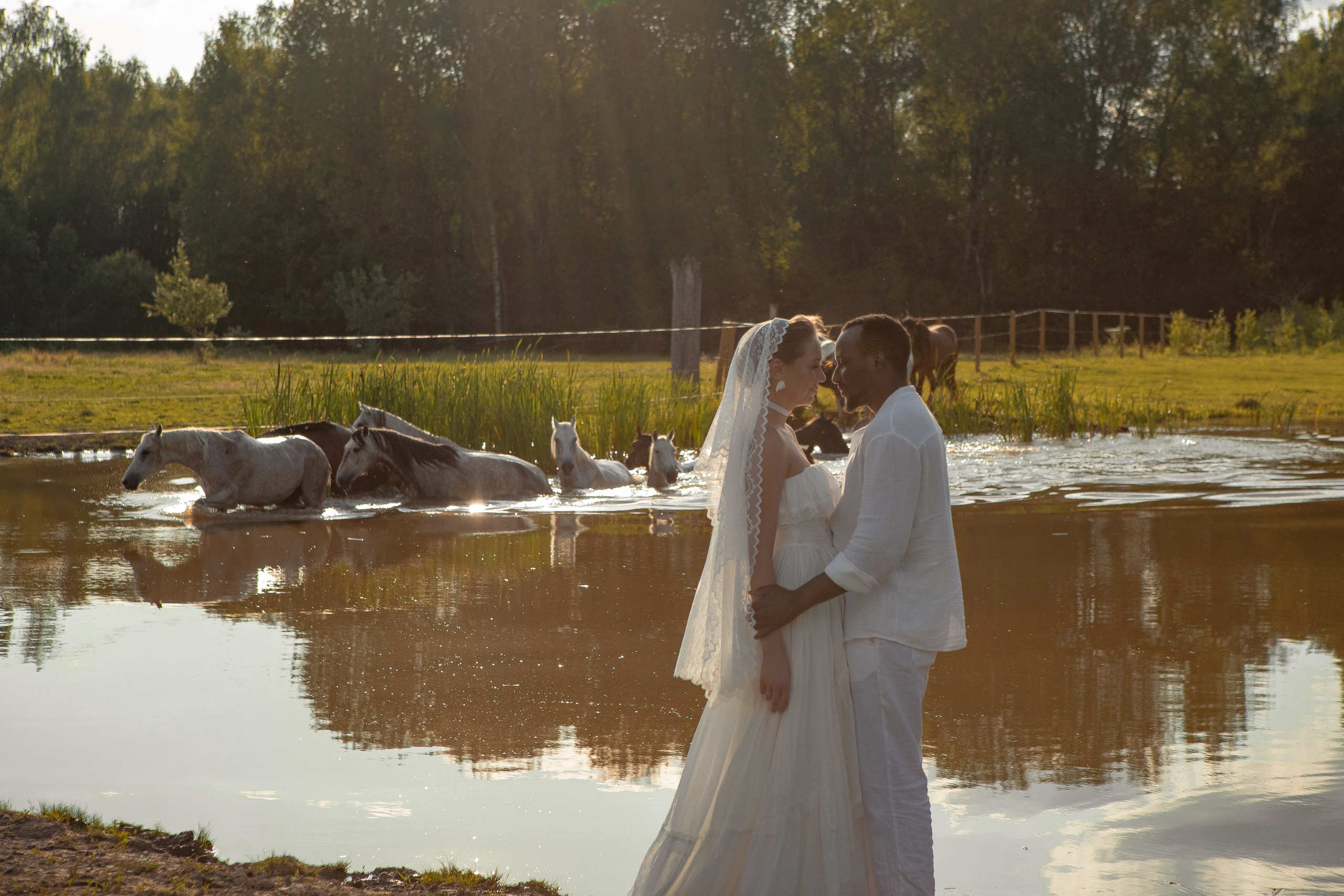 Необычная свадебная фотосессия в Москве с лошадьми