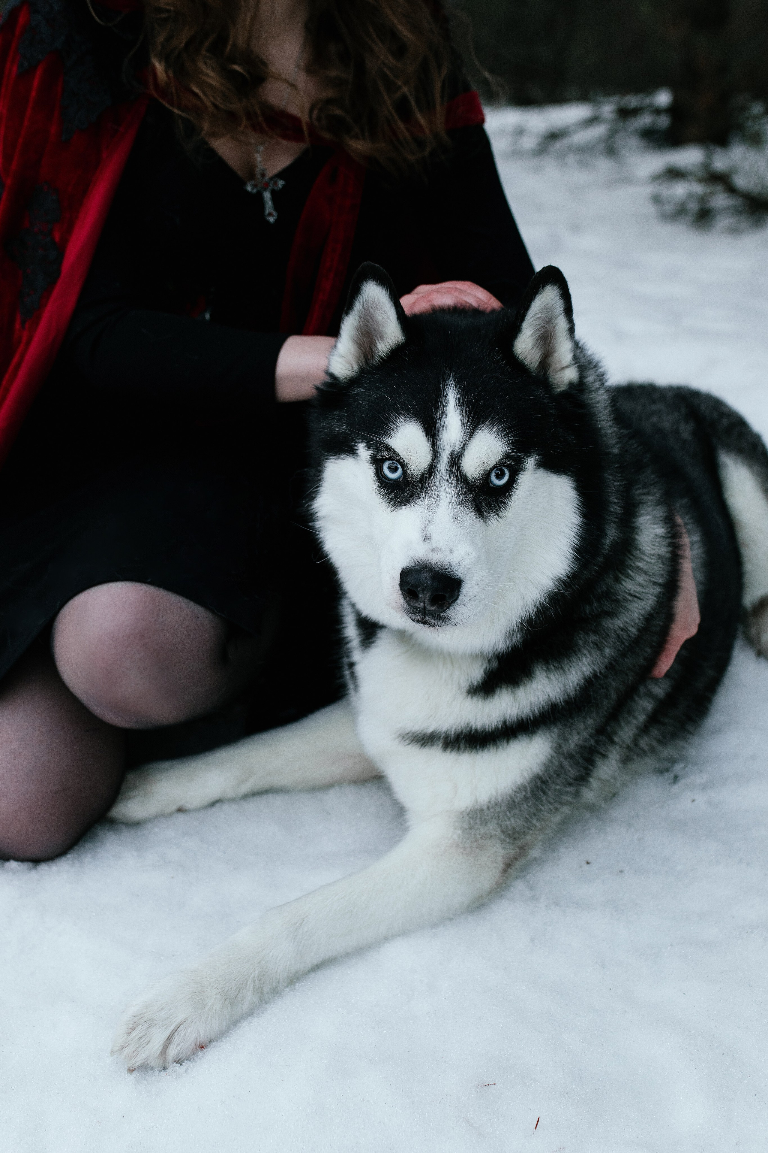 Алина. Свадебный, семейный фотограф в Рязани Лена Брант