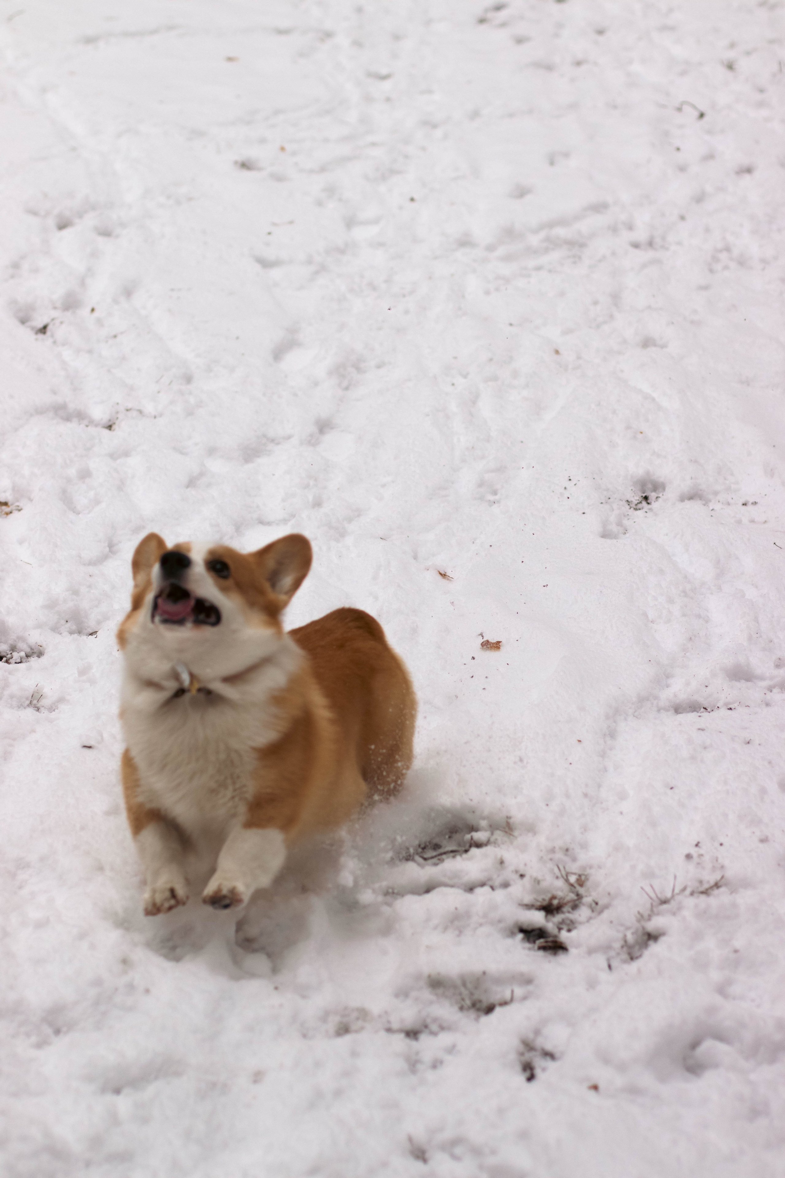 Деймик. Фотограф в Москве Ксюшенька