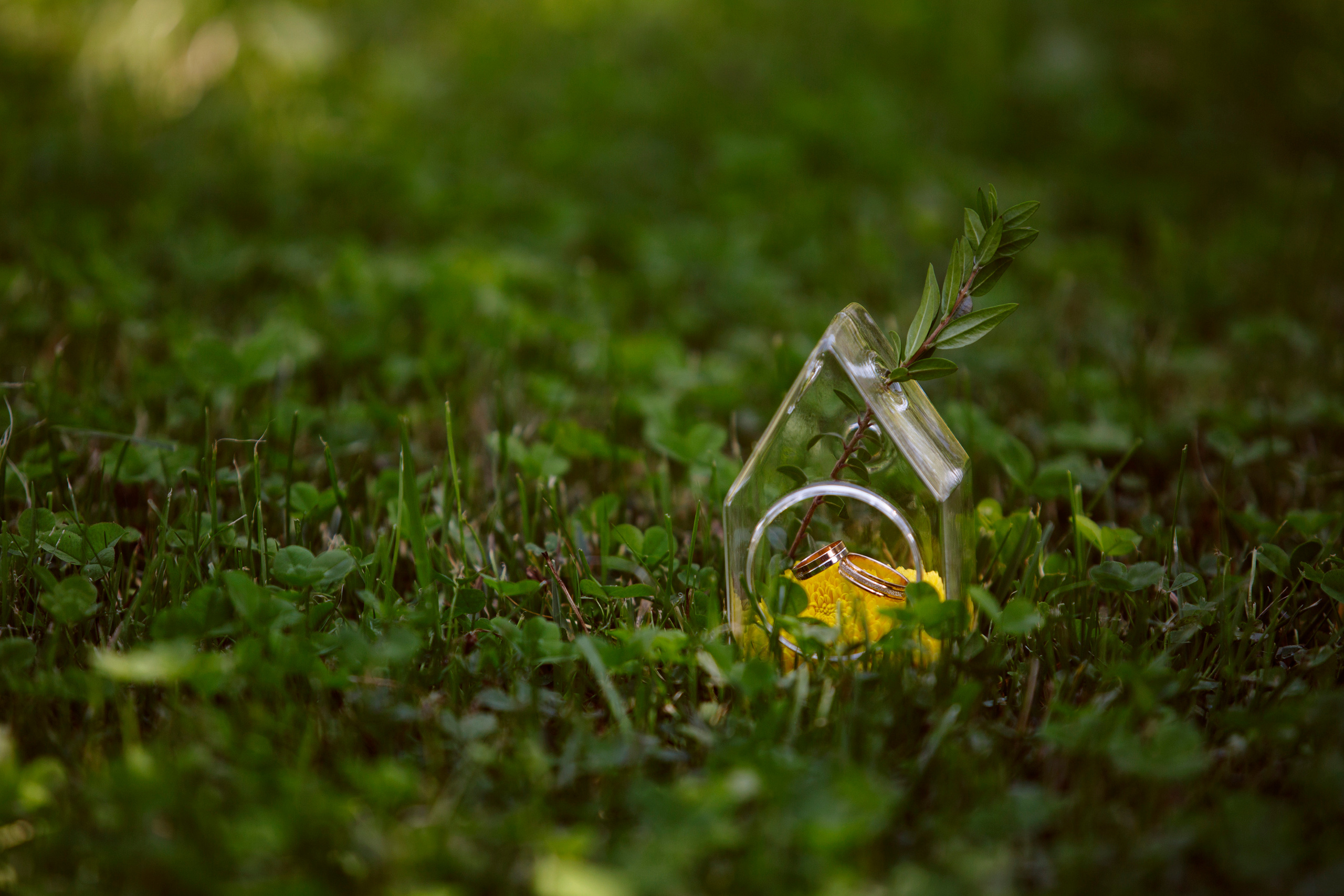 Anastasia & Ivan. Свадебный фотограф Гарифуллин Руслан. Раменское, Жуковский, Москва