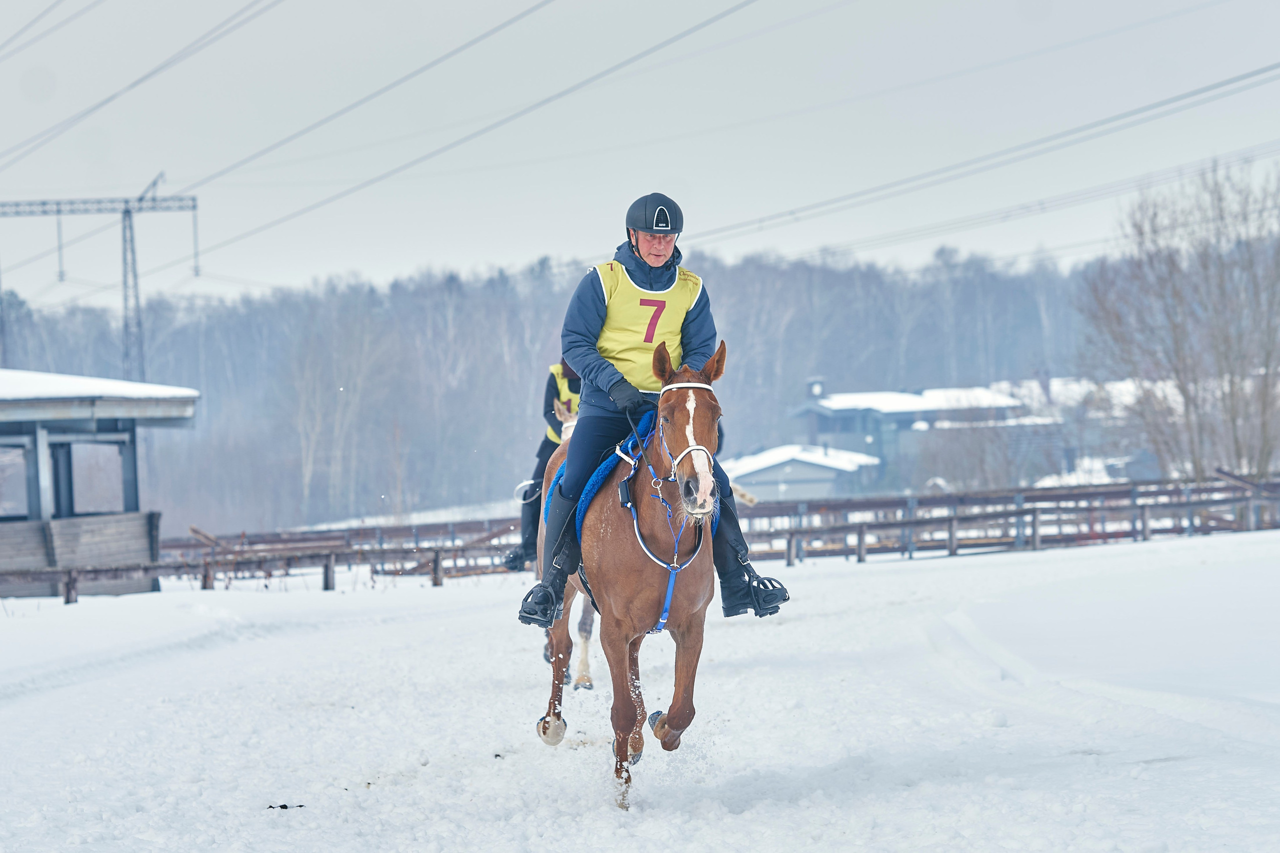 HORSE RACING. Фотограф Наталья Леонова